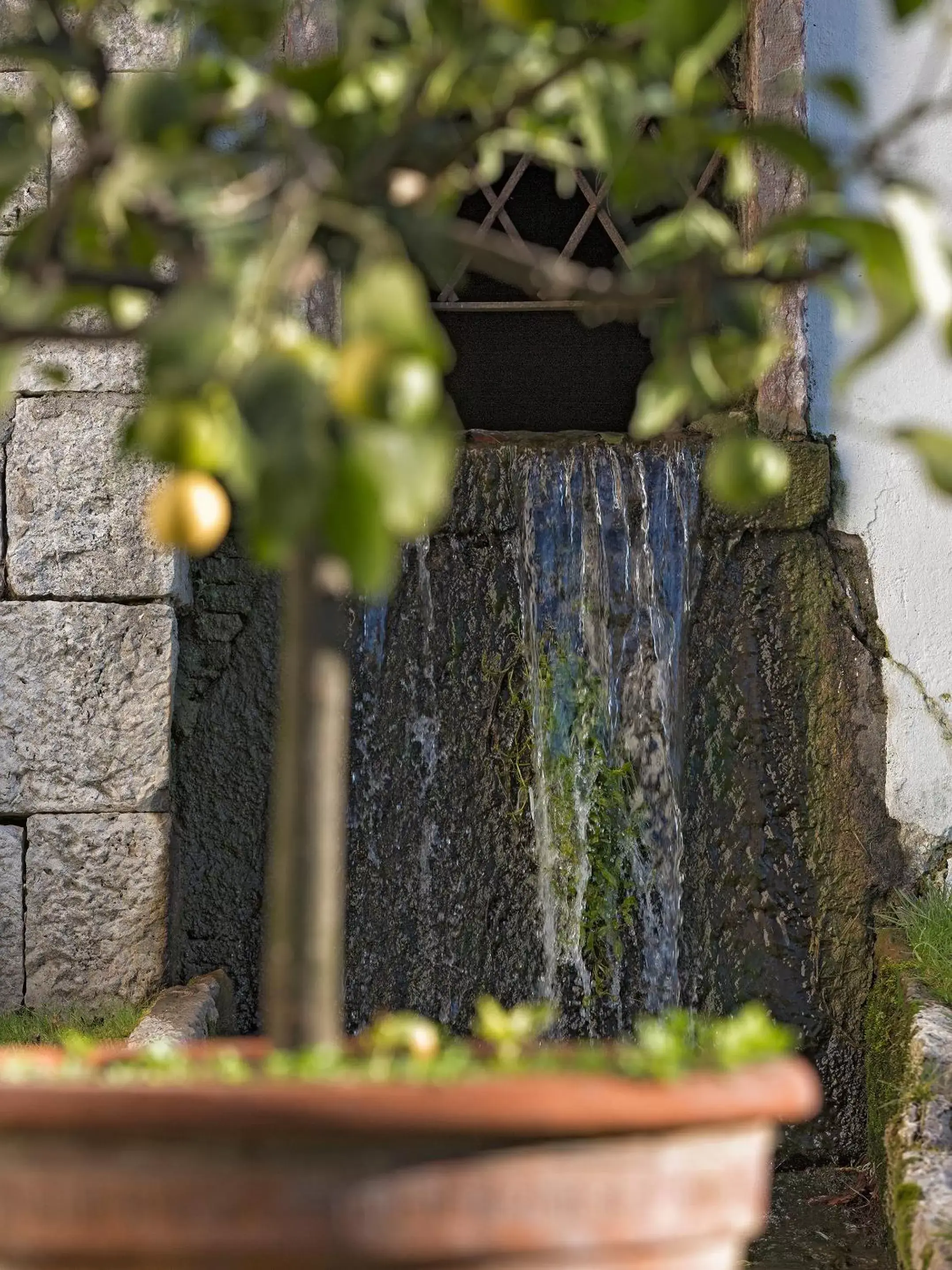 Garden in Villa Stecchini