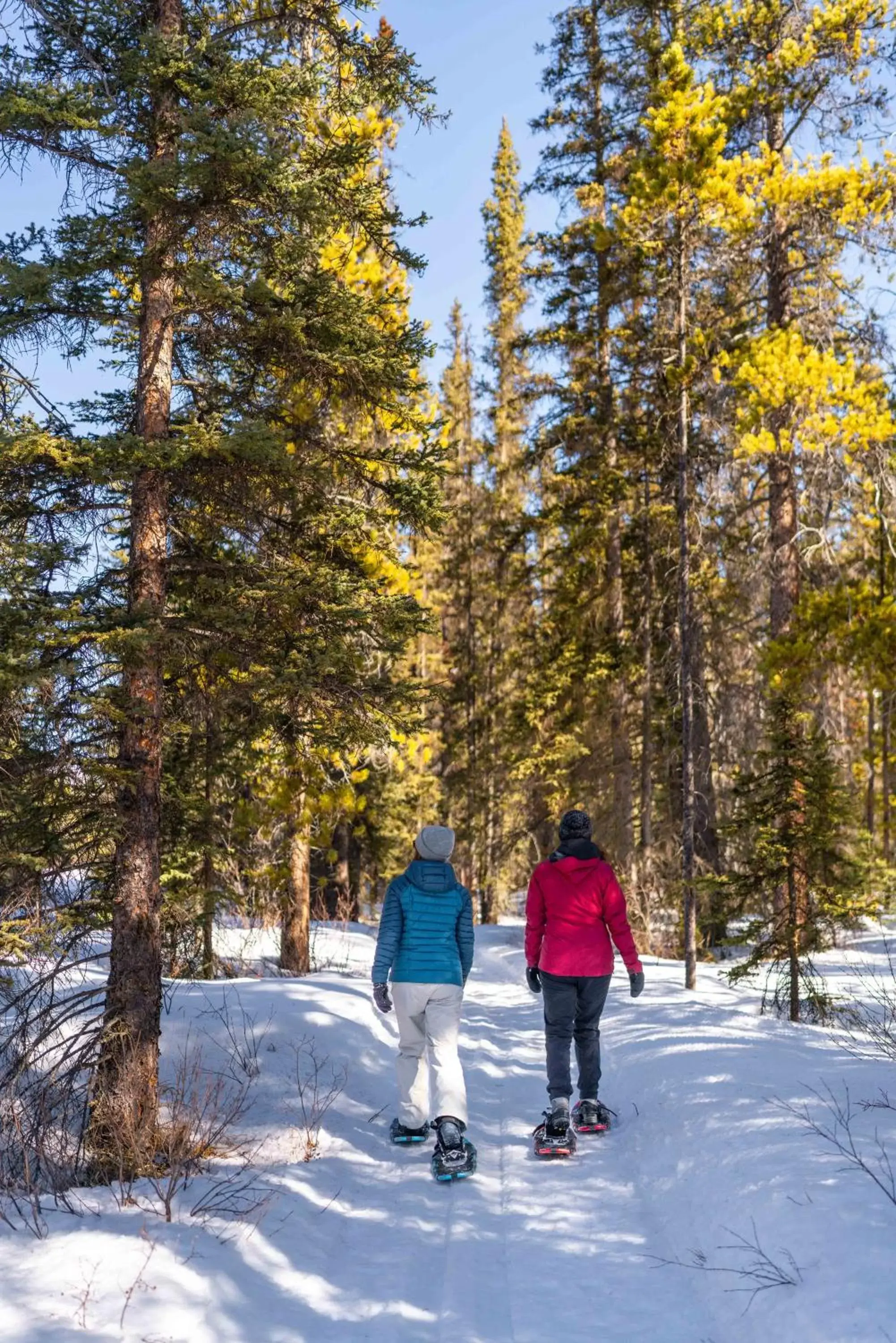 Mountain view, Winter in Lake Louise Inn