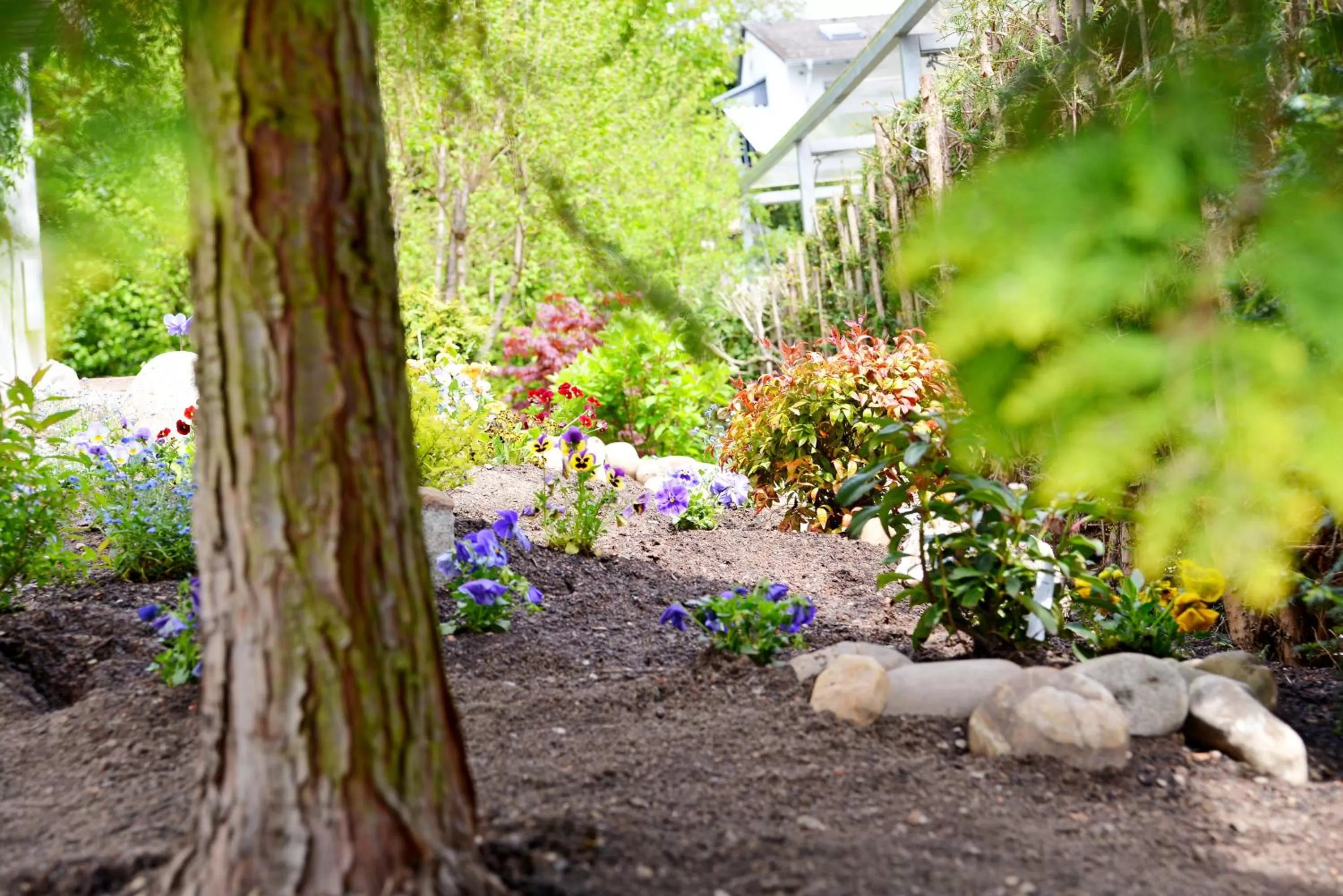 Garden in Aparthotel Stoll