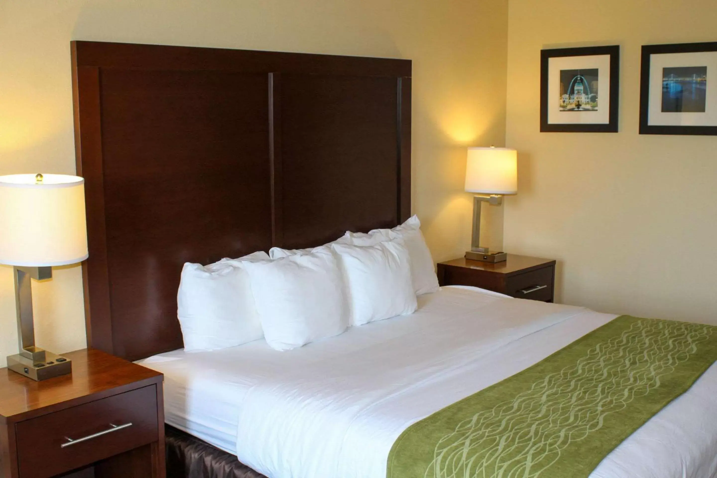 Photo of the whole room, Room Photo in Comfort Inn & Suites - Chesterfield