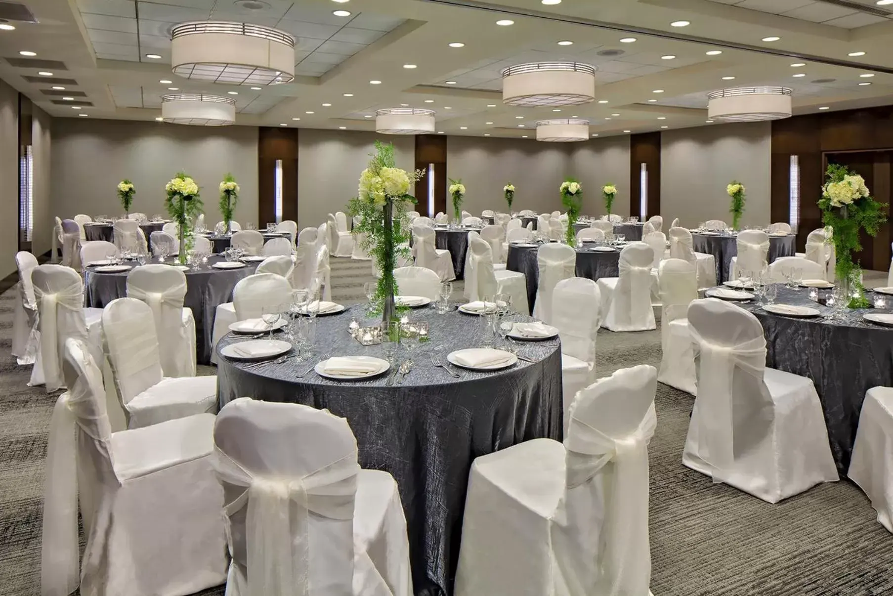 Banquet/Function facilities, Banquet Facilities in Crowne Plaza - Chicago West Loop, an IHG Hotel