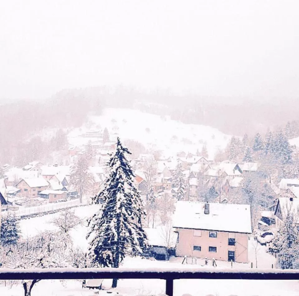 Winter in Hotel Cafe Waldeck