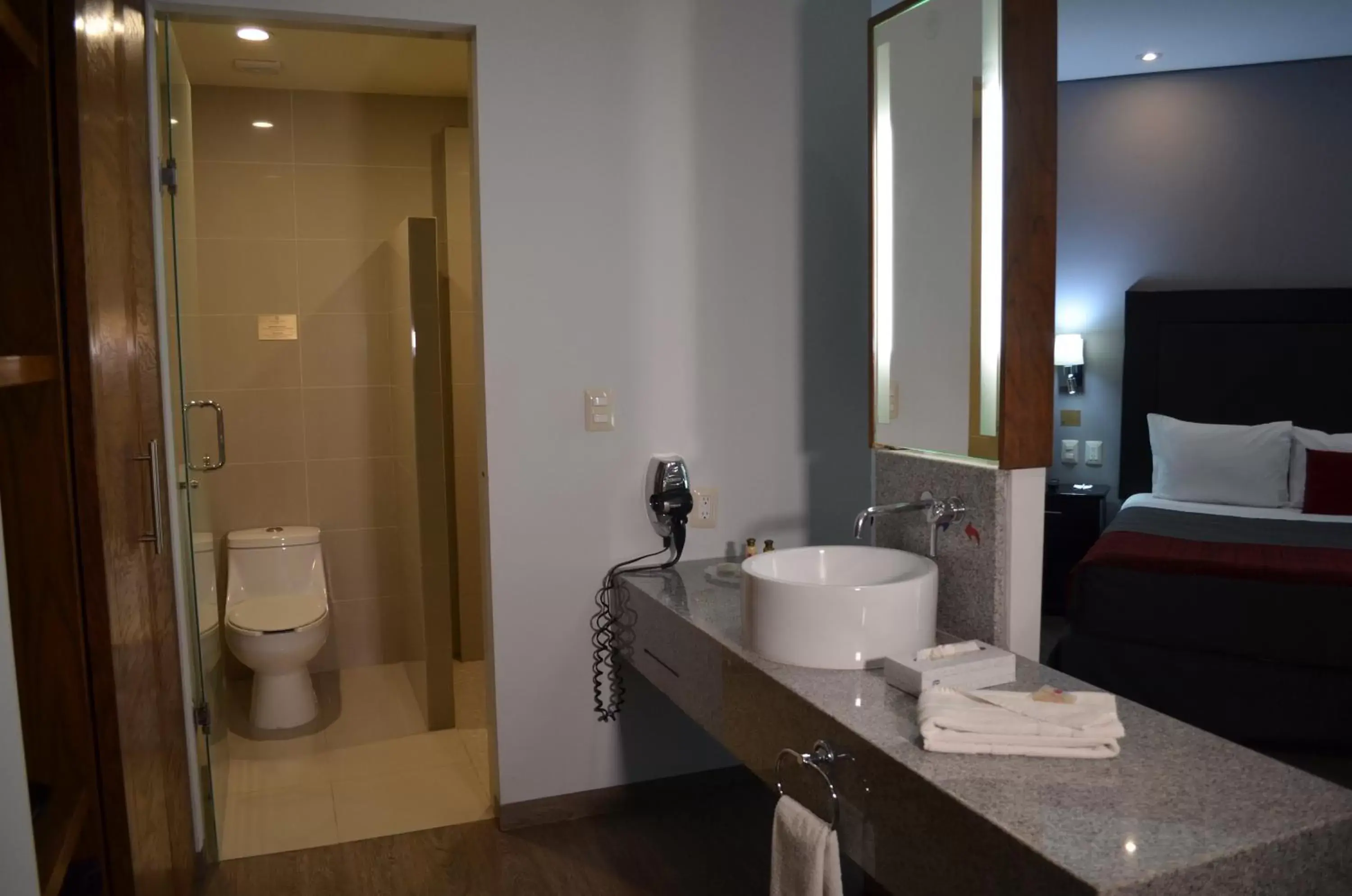 Toilet, Bathroom in Plaza Camelinas Hotel