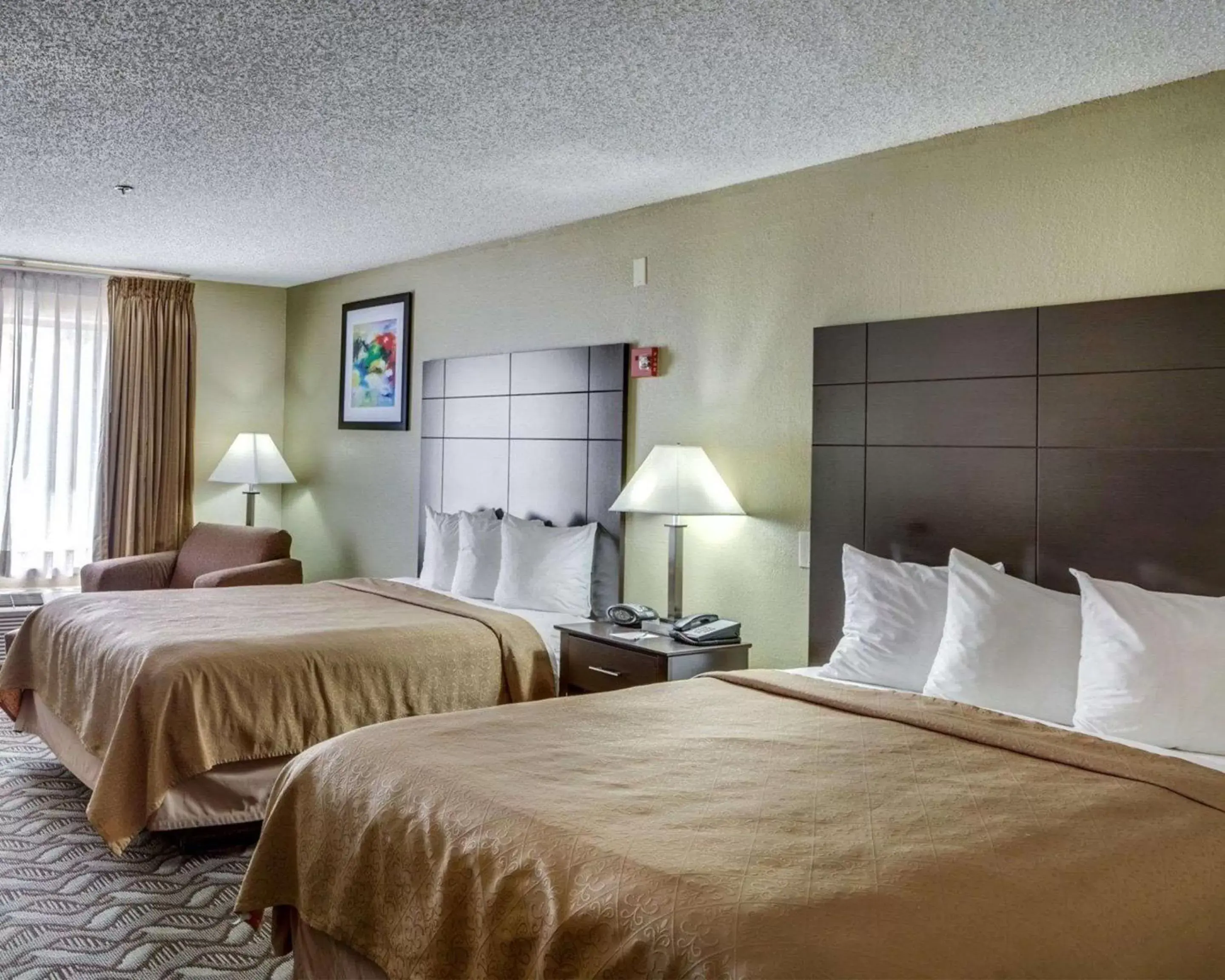 Photo of the whole room, Bed in Quality Suites Baton Rouge East - Denham Springs