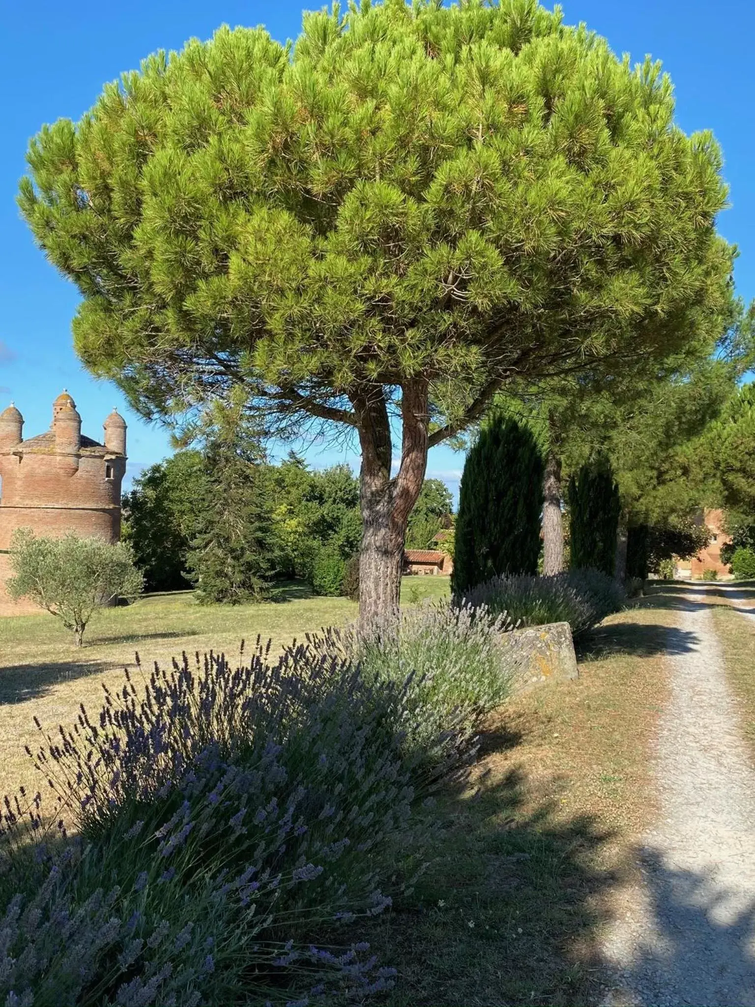 Garden in Manoir du Bouyssou