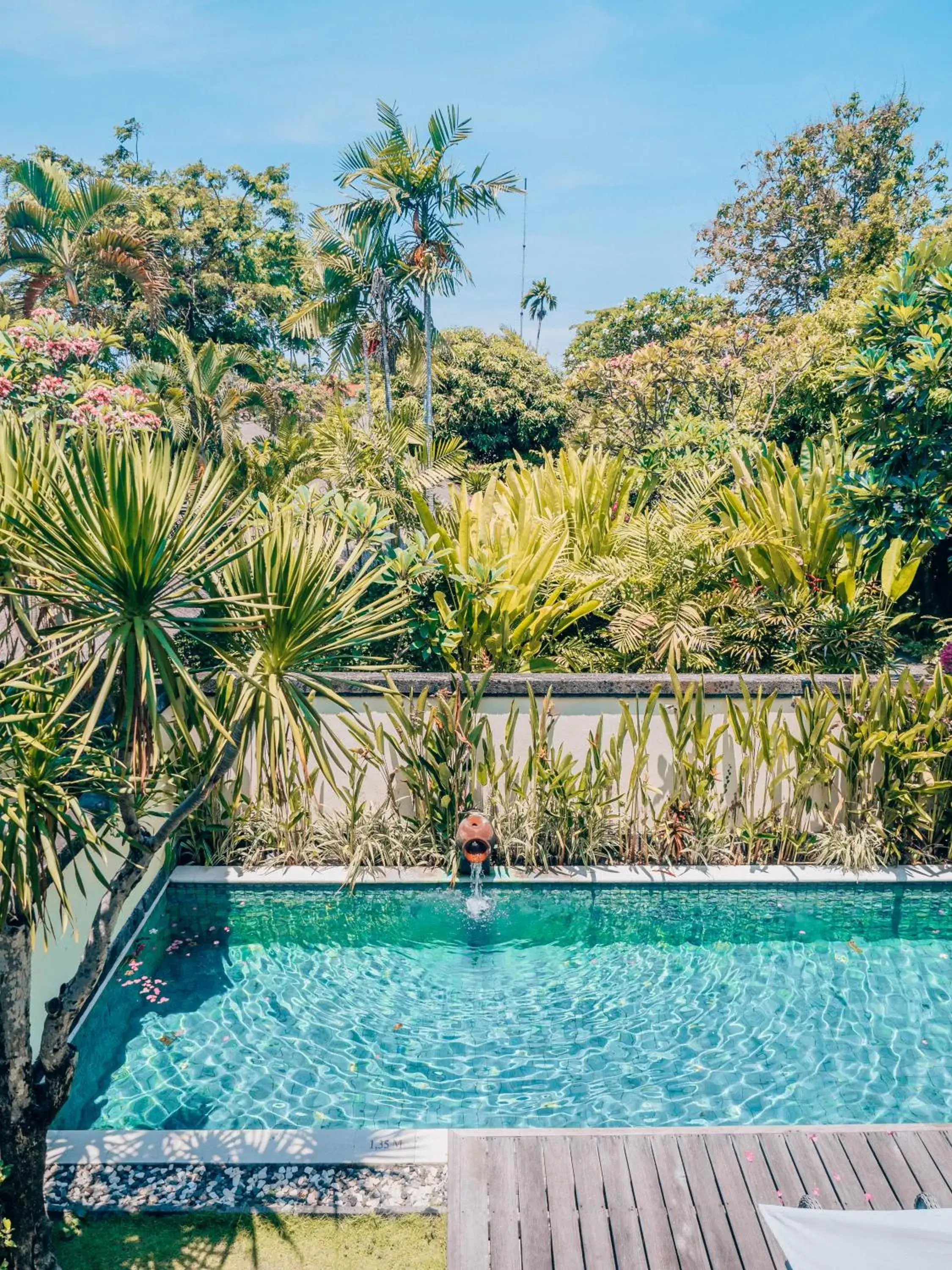 Swimming Pool in The Pavilions Bali - CHSE Certified