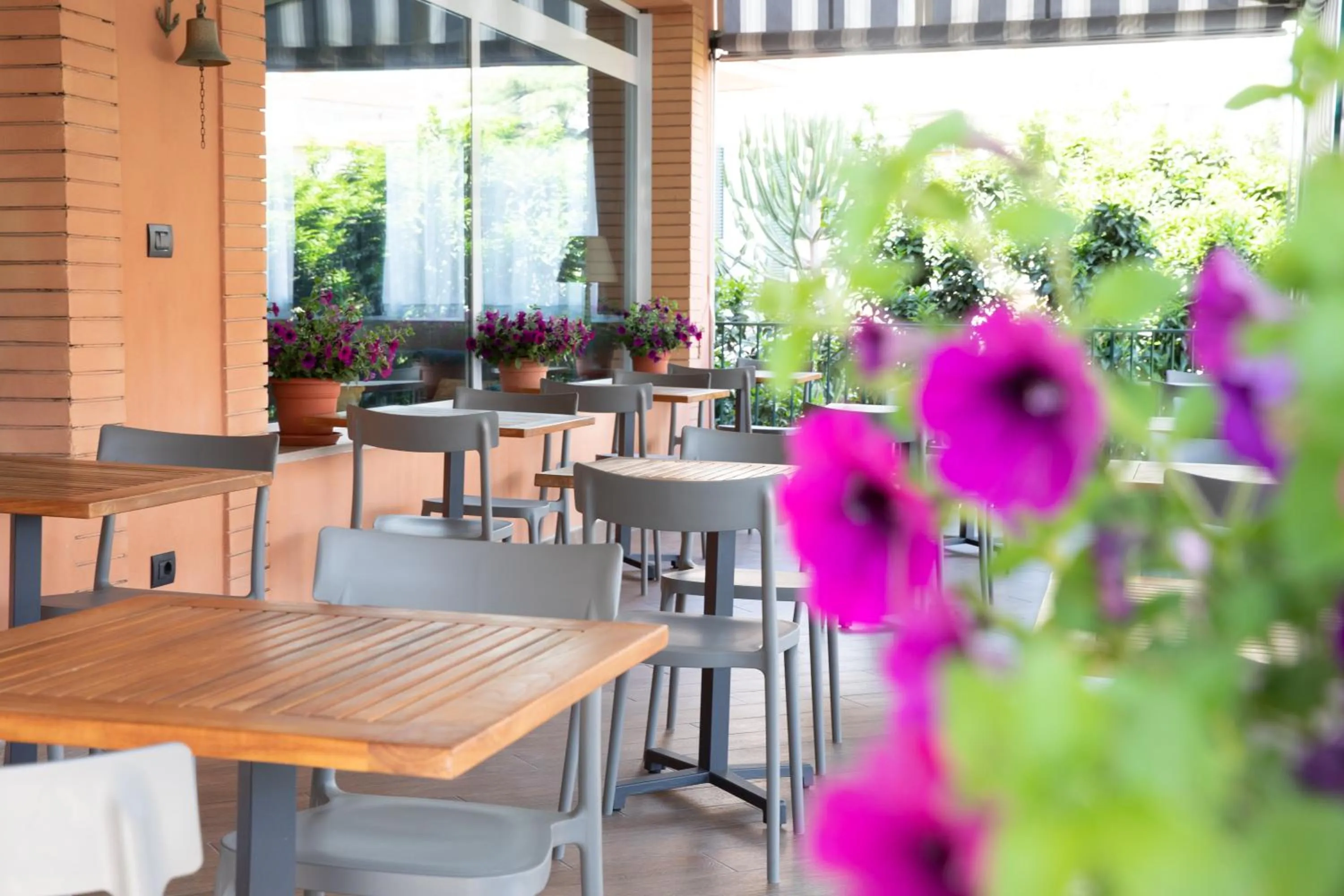 Balcony/Terrace in Hotel Ariston
