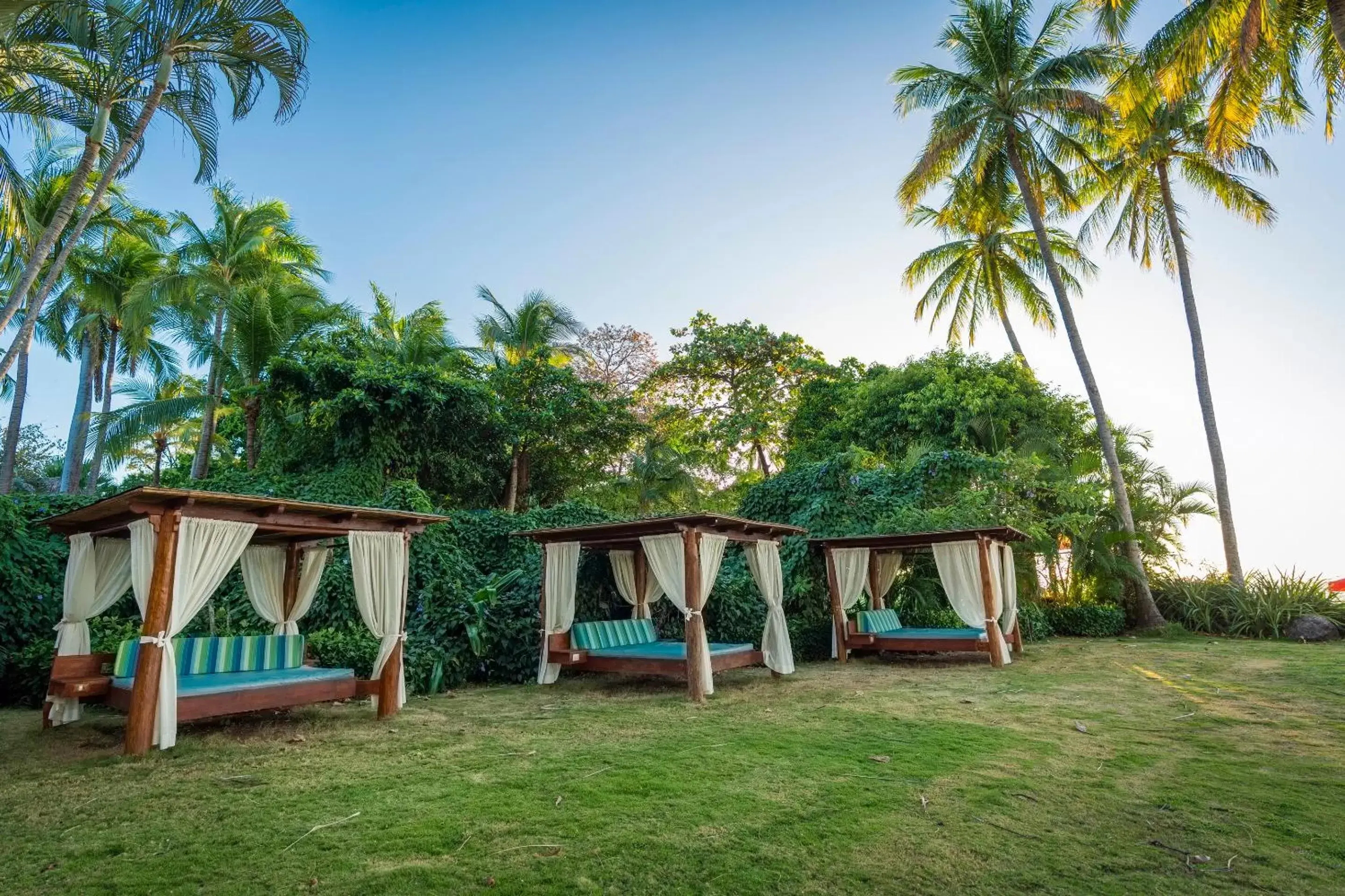 sunbed, Garden in Hotel Tamarindo Diria Beach Resort