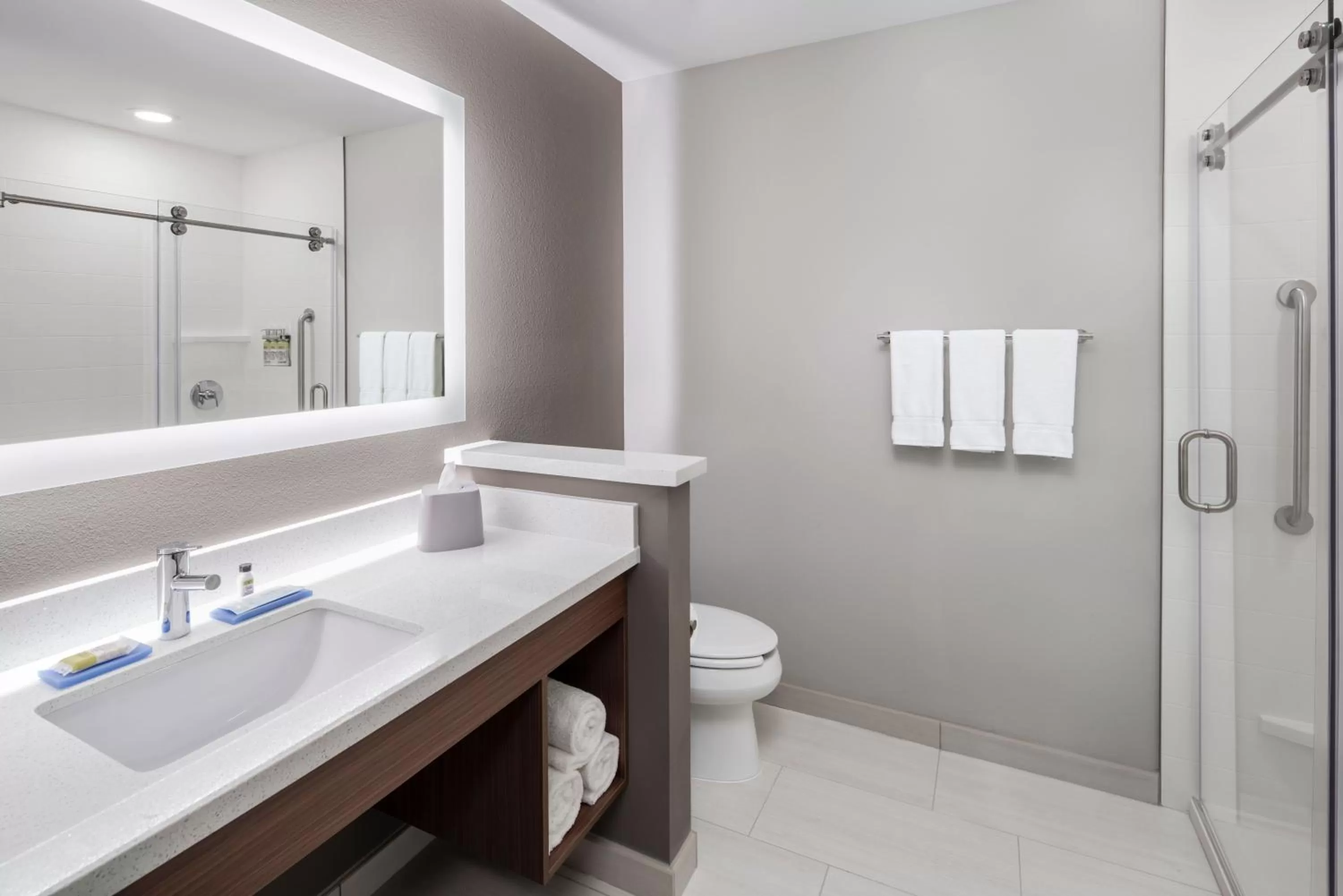 Bathroom in Holiday Inn Express & Suites - Odessa I-20 by IHG