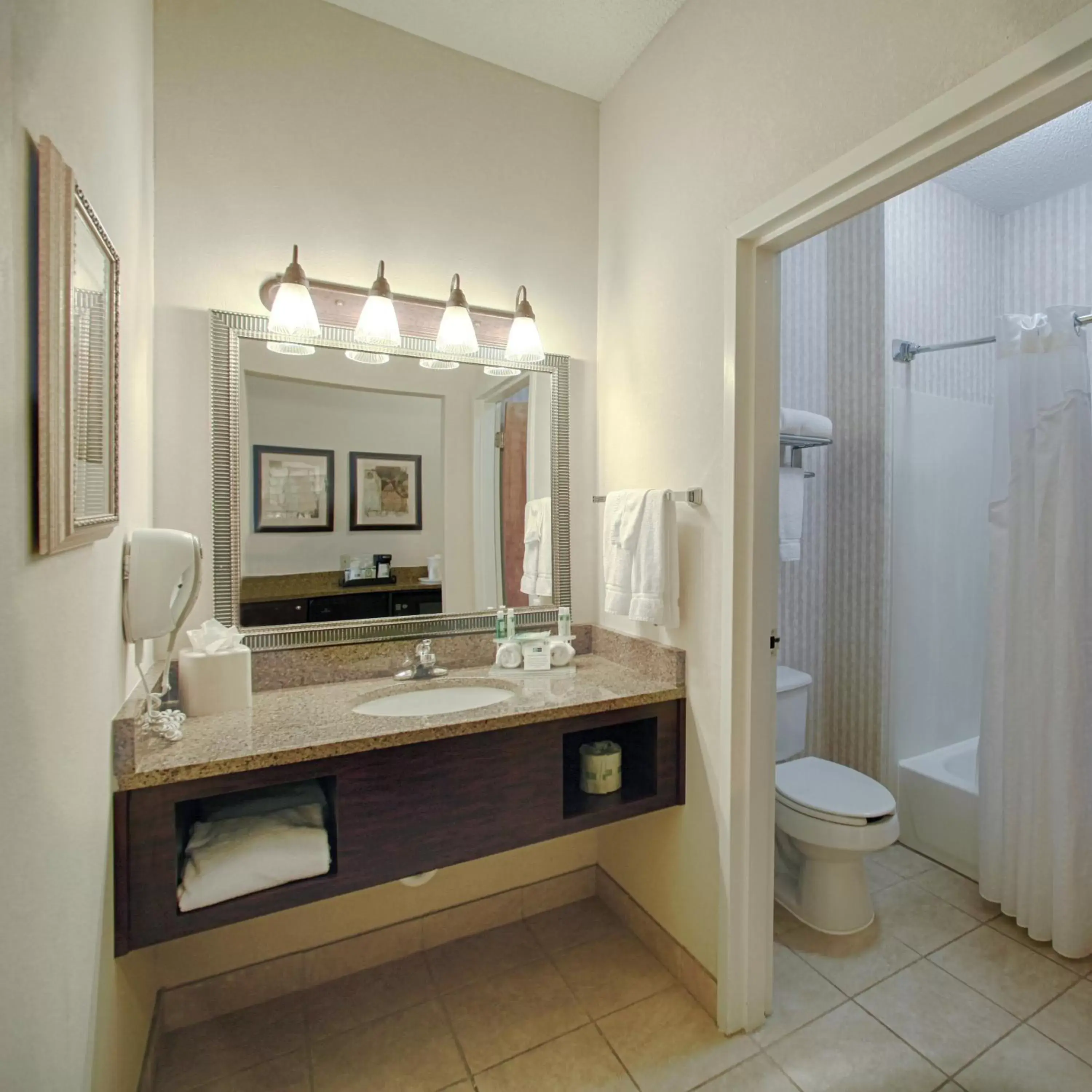 Bathroom in Holiday Inn Express Hotel & Suites - Atlanta/Emory University Area, an IHG Hotel