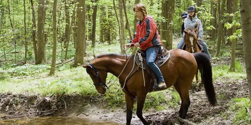 Horse-riding in Nantahala Village