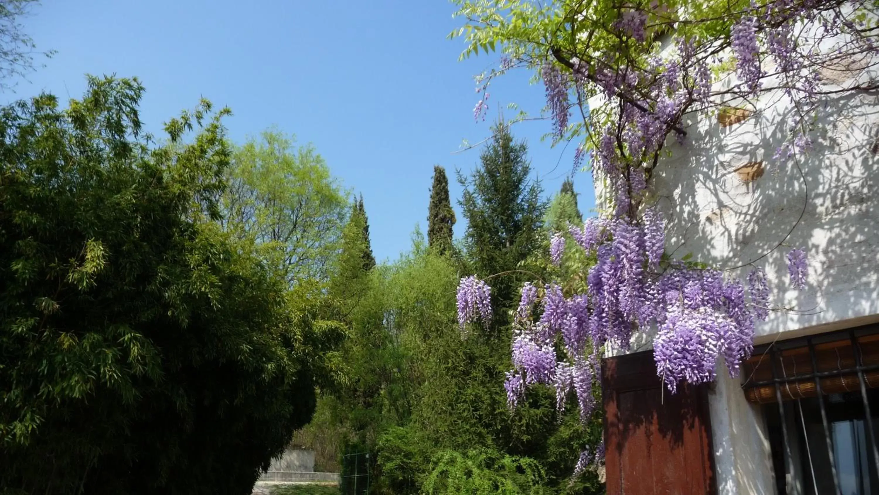 Garden in L'Isolo b&b e case vacanza