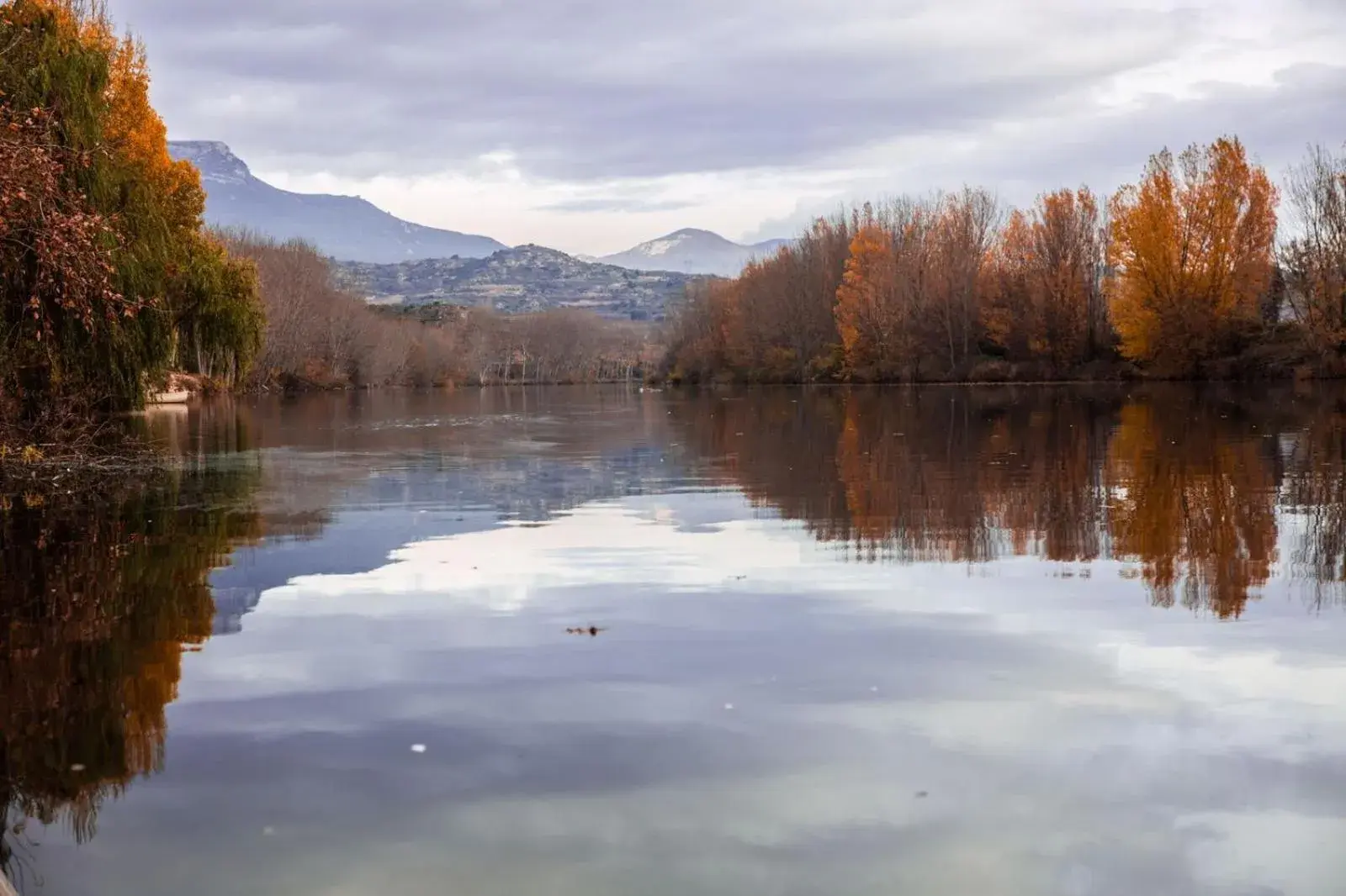 Natural landscape in Hospedería Señorío de Briñas