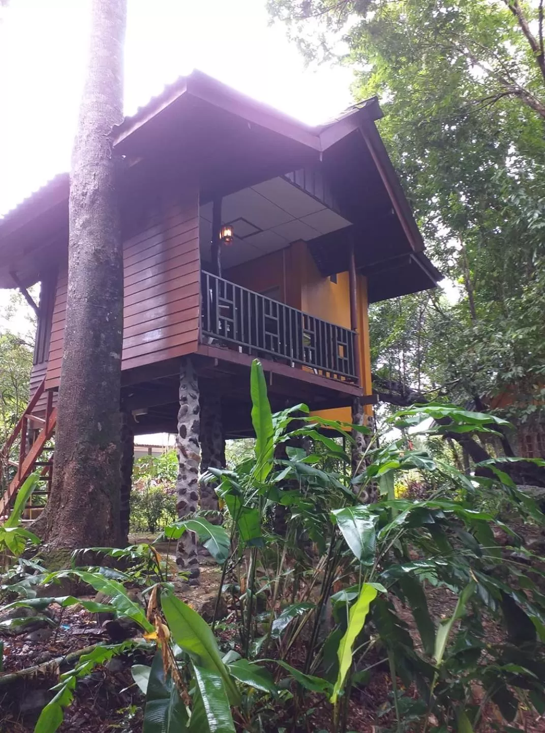 Tree Tops River Huts