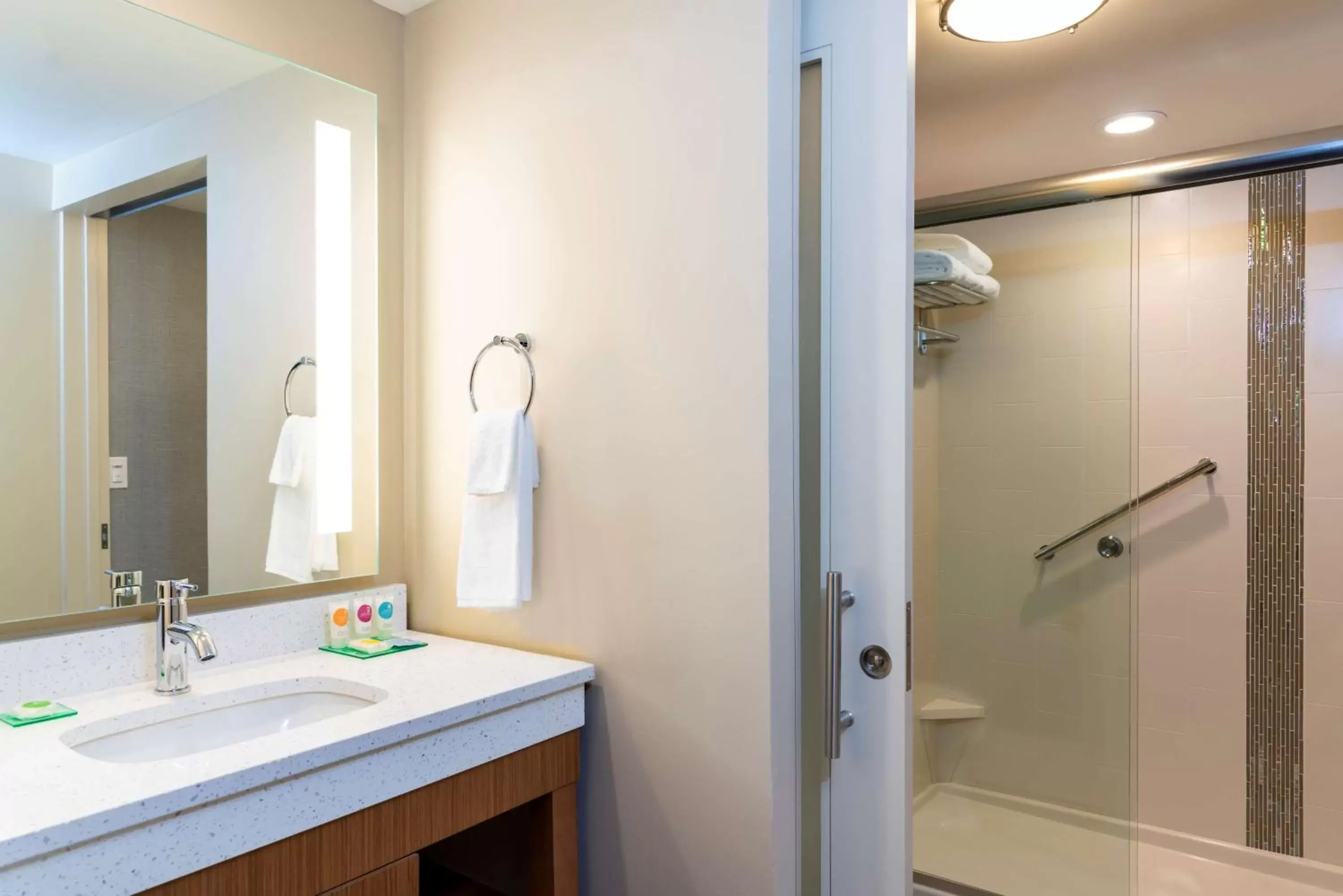 Bathroom in Hyatt Place Flint/Grand Blanc