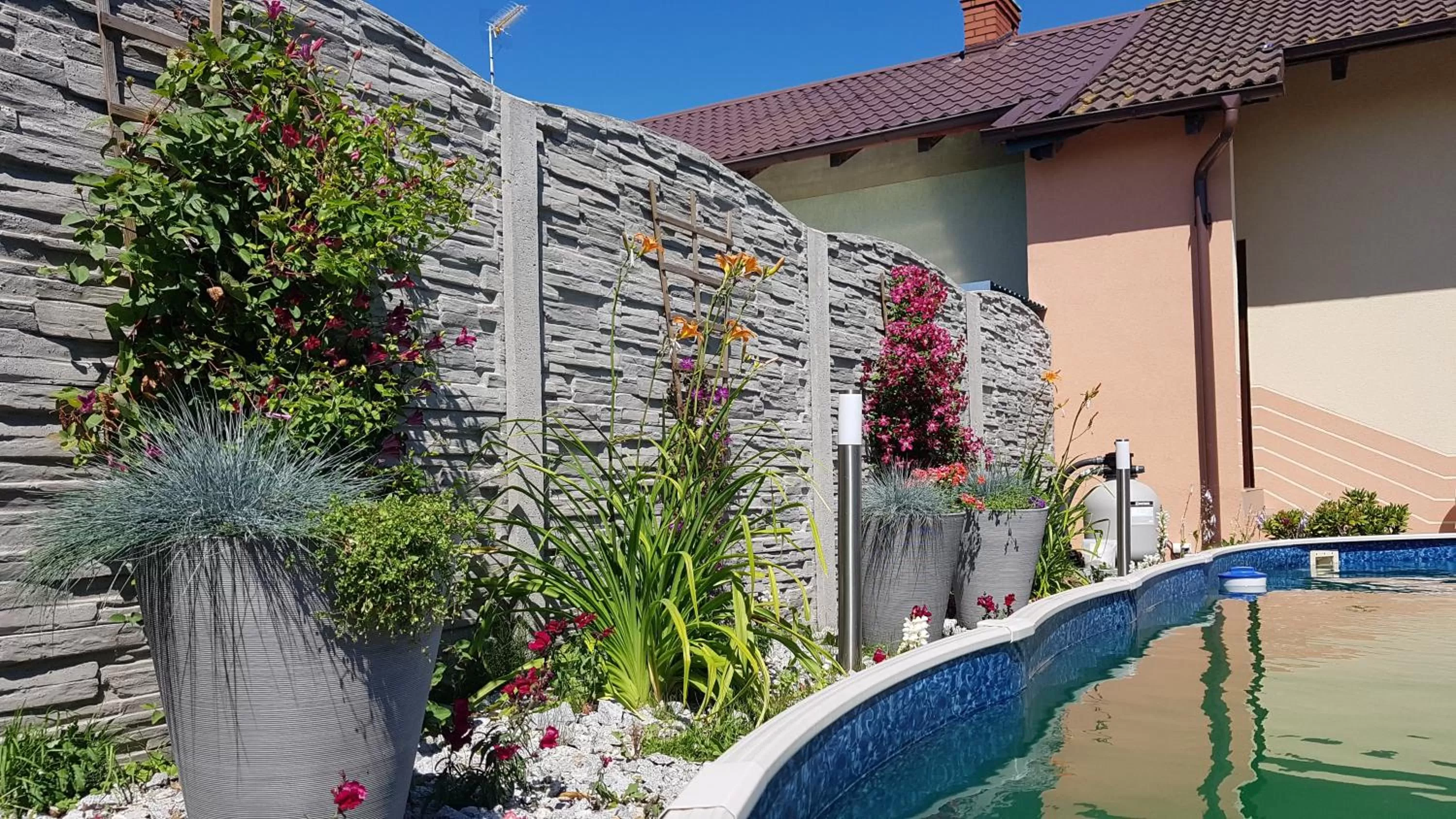 Swimming pool in Villa Nobis
