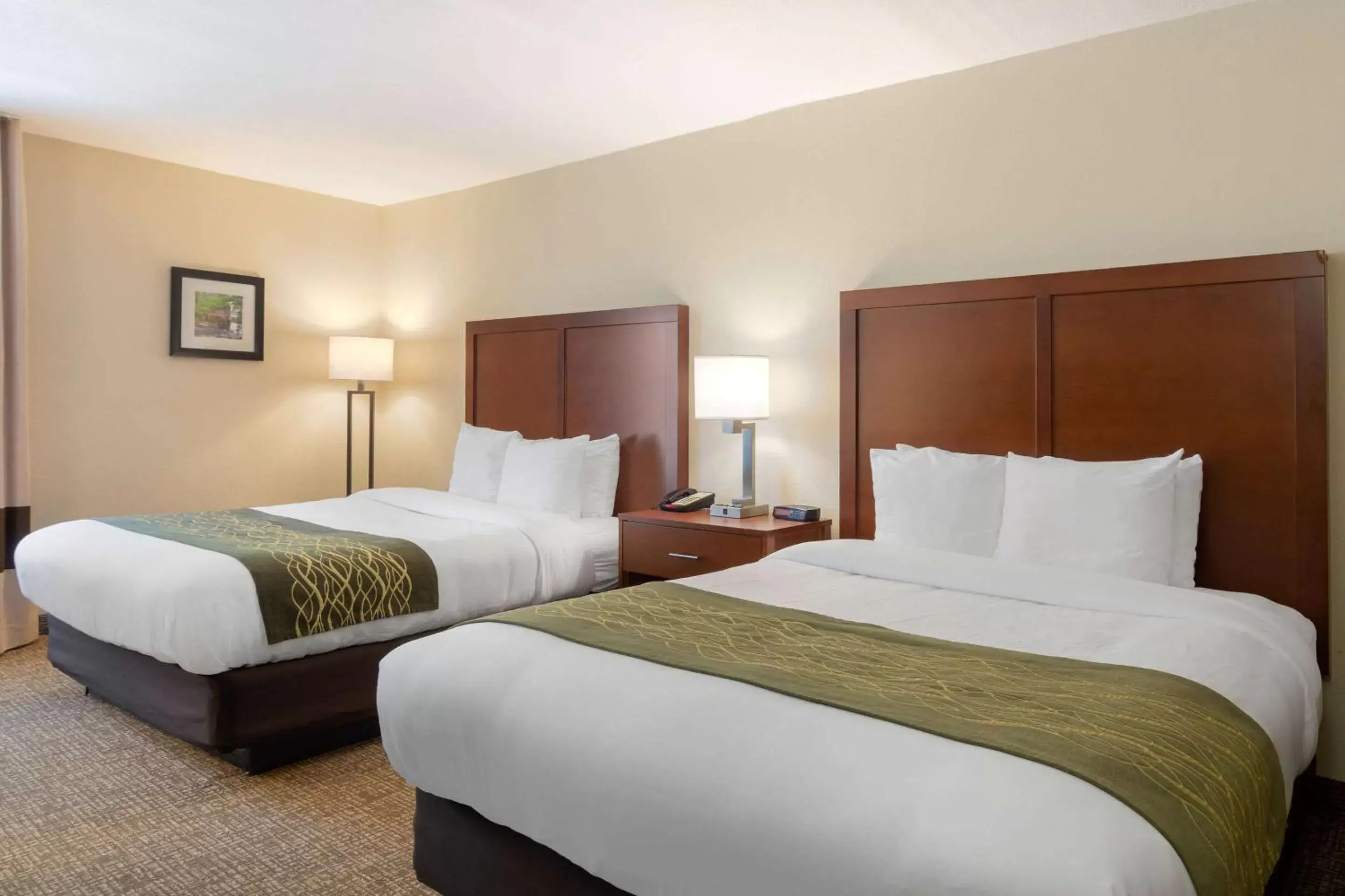 Photo of the whole room, Bed in Comfort Inn Douglasville - Atlanta West