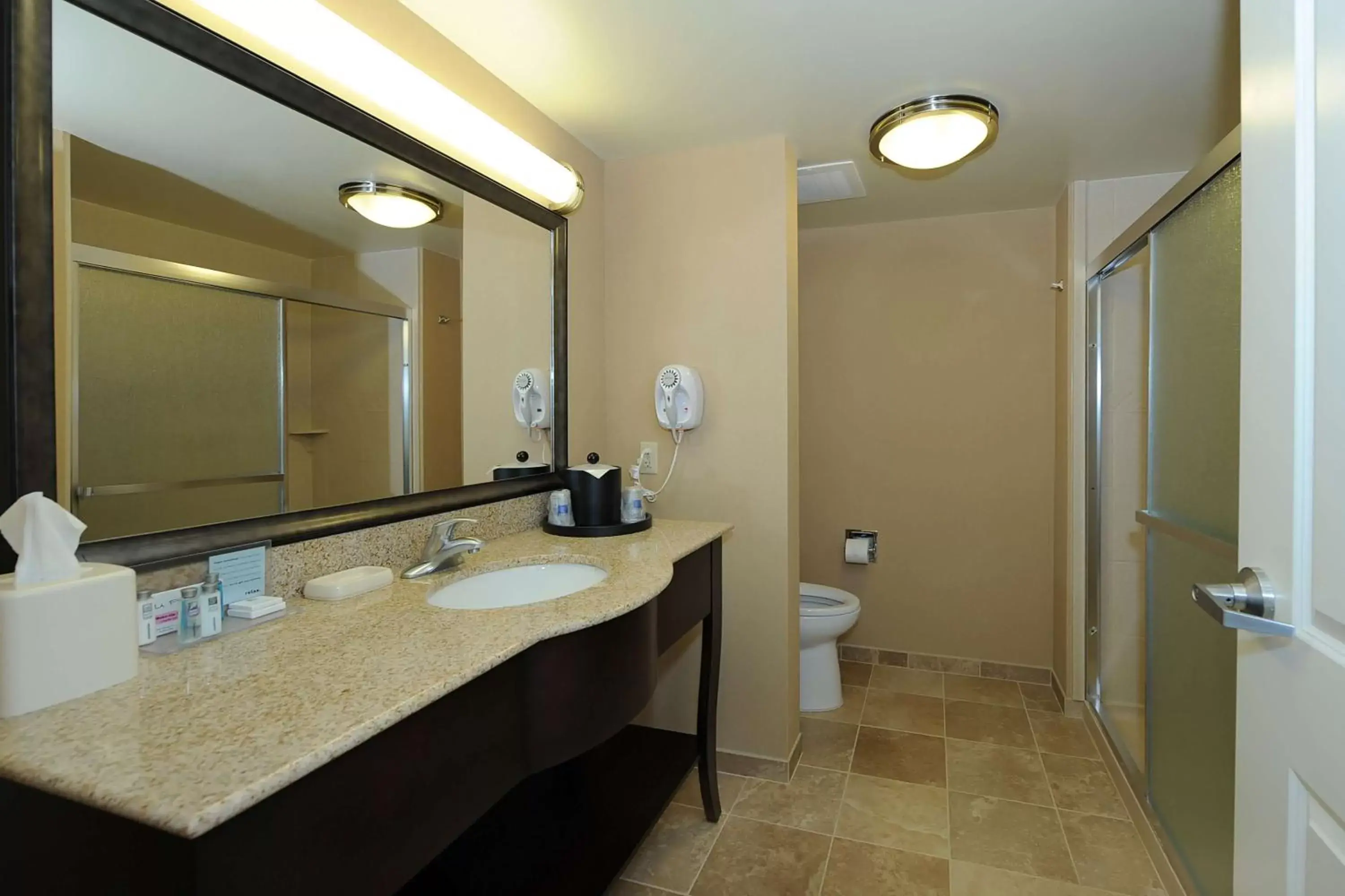 Bathroom in Hampton Inn & Suites Scottsboro