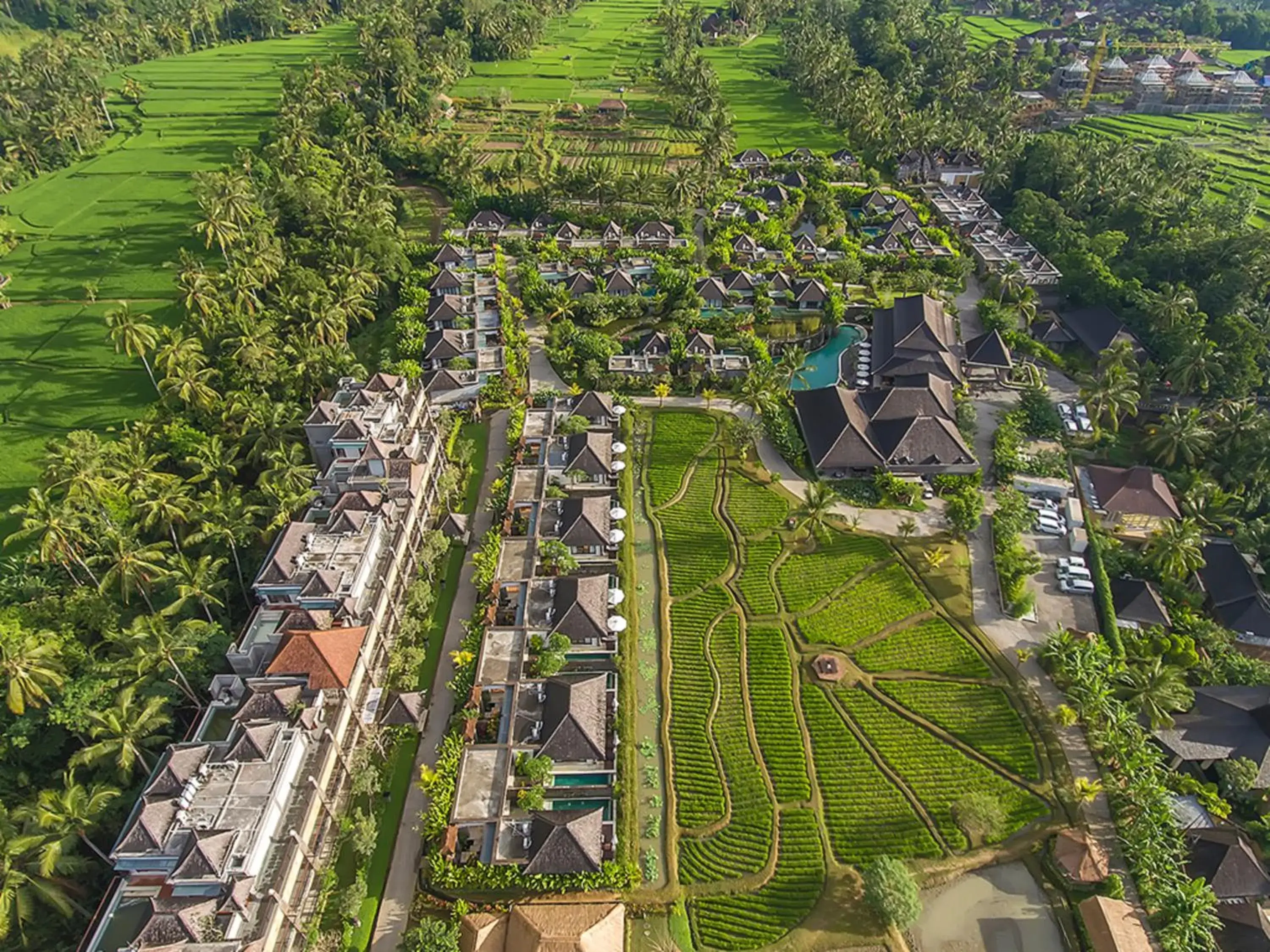 Bird's eye view, Bird's-eye View in Visesa Ubud Resort