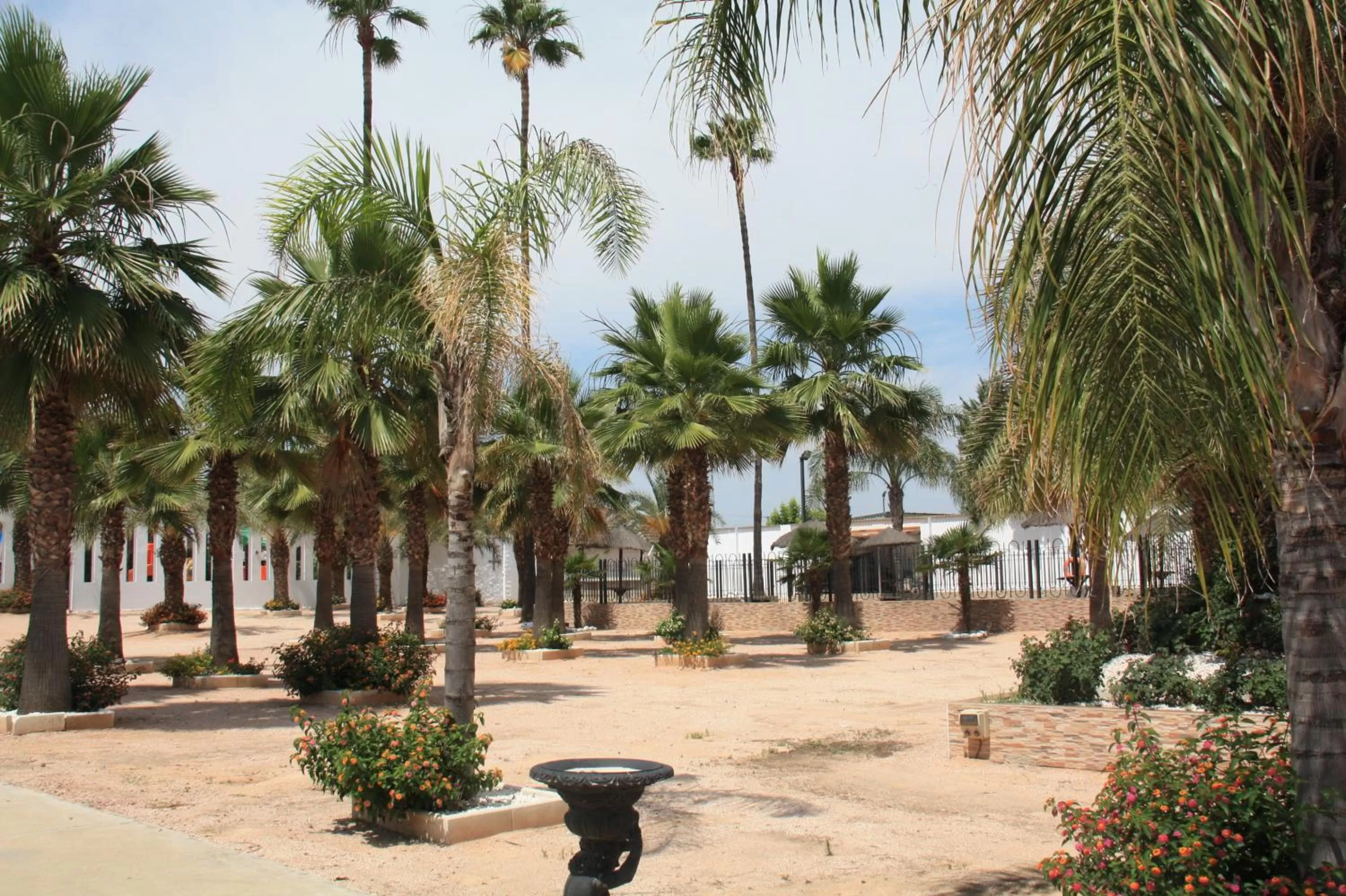 Off site in Hacienda Guadalquivir
