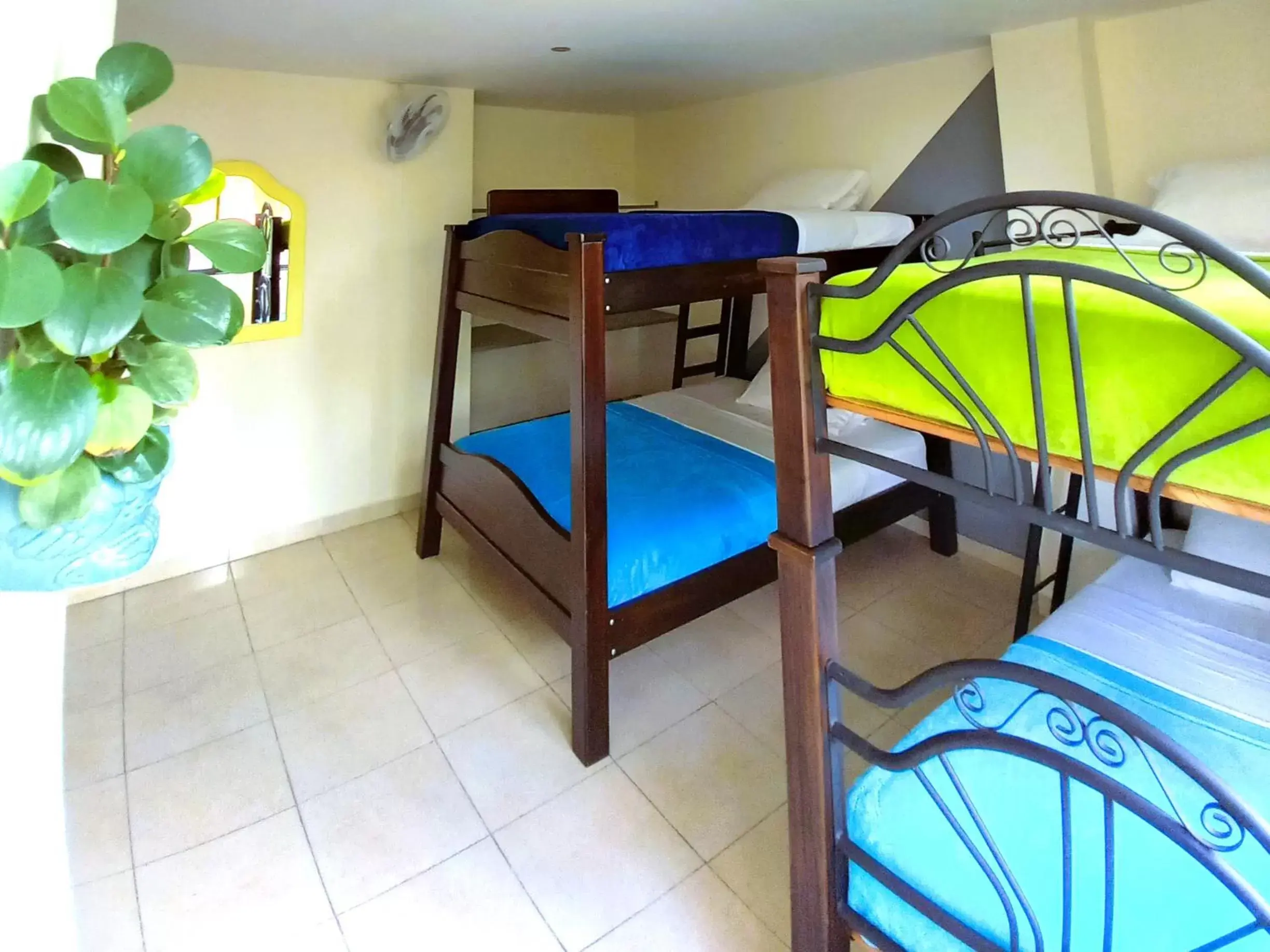 Family Room with Shared Bathroom in Casa Azul Boutique Hostel Family Room with Shared Bathroom in Casa Azul Boutique Hostel