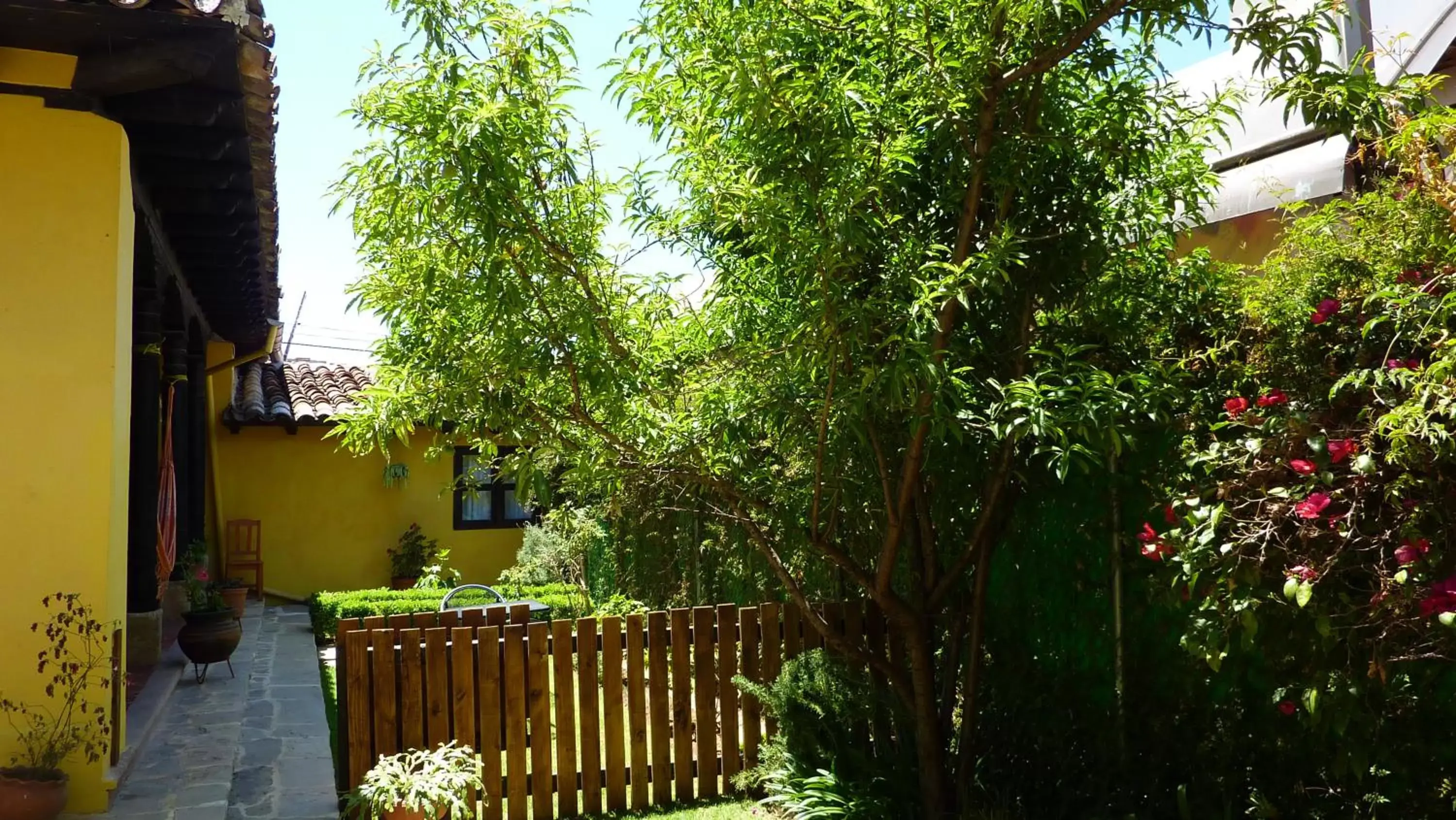 Garden in Hotel Ocho Barrios