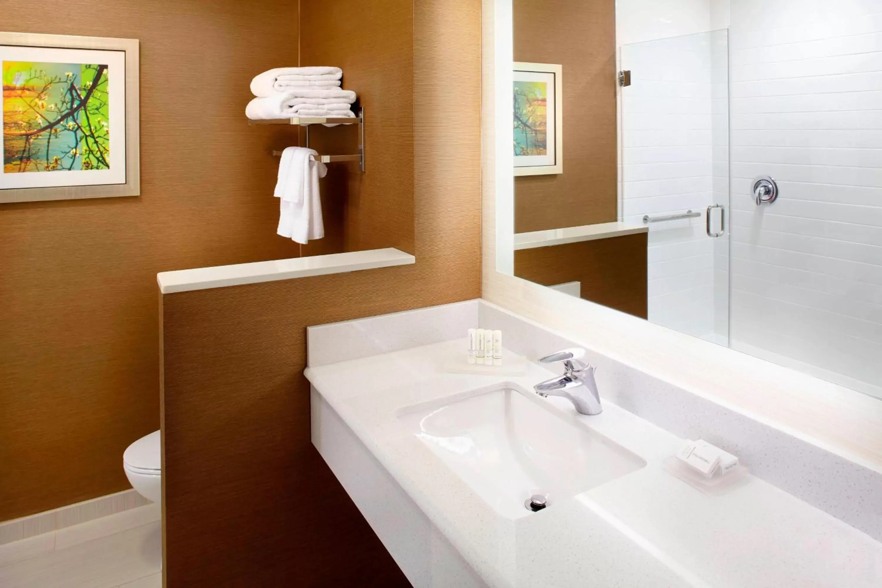 Bathroom in Fairfield by Marriott Inn & Suites Wheeling at The Highlands