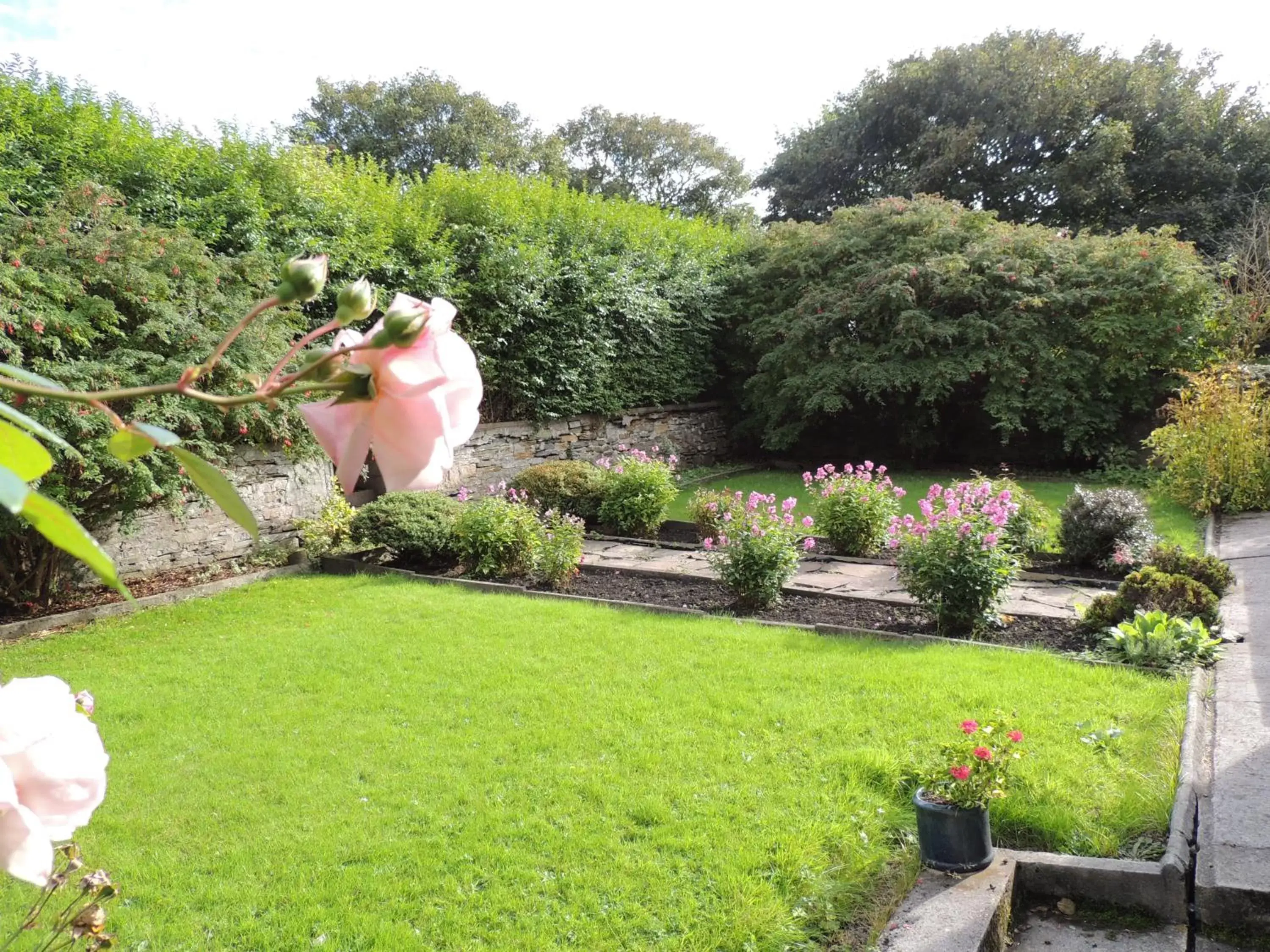 Garden in The Orkney Hotel