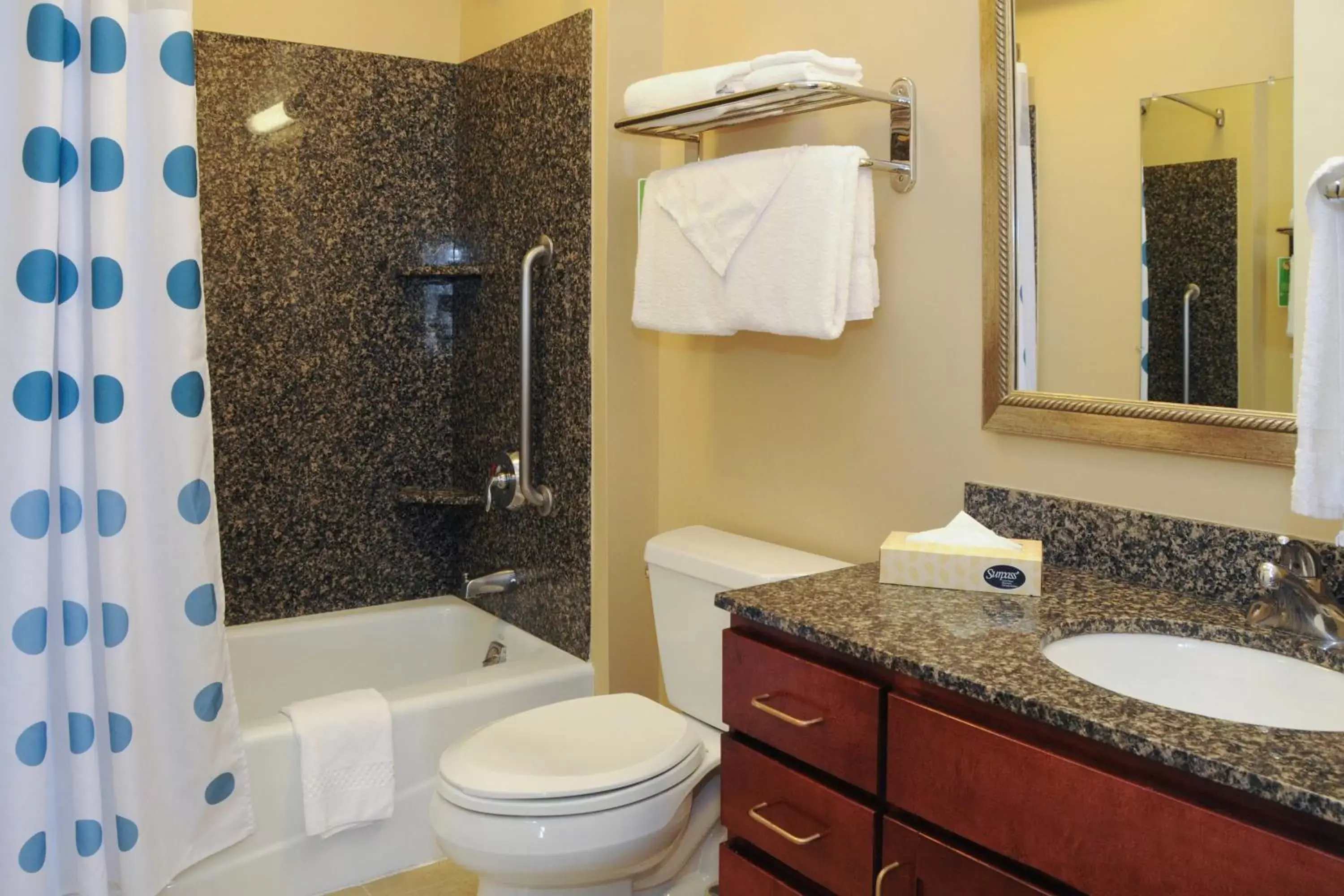 Bathroom in TownePlace Suites by Marriott Colorado Springs South