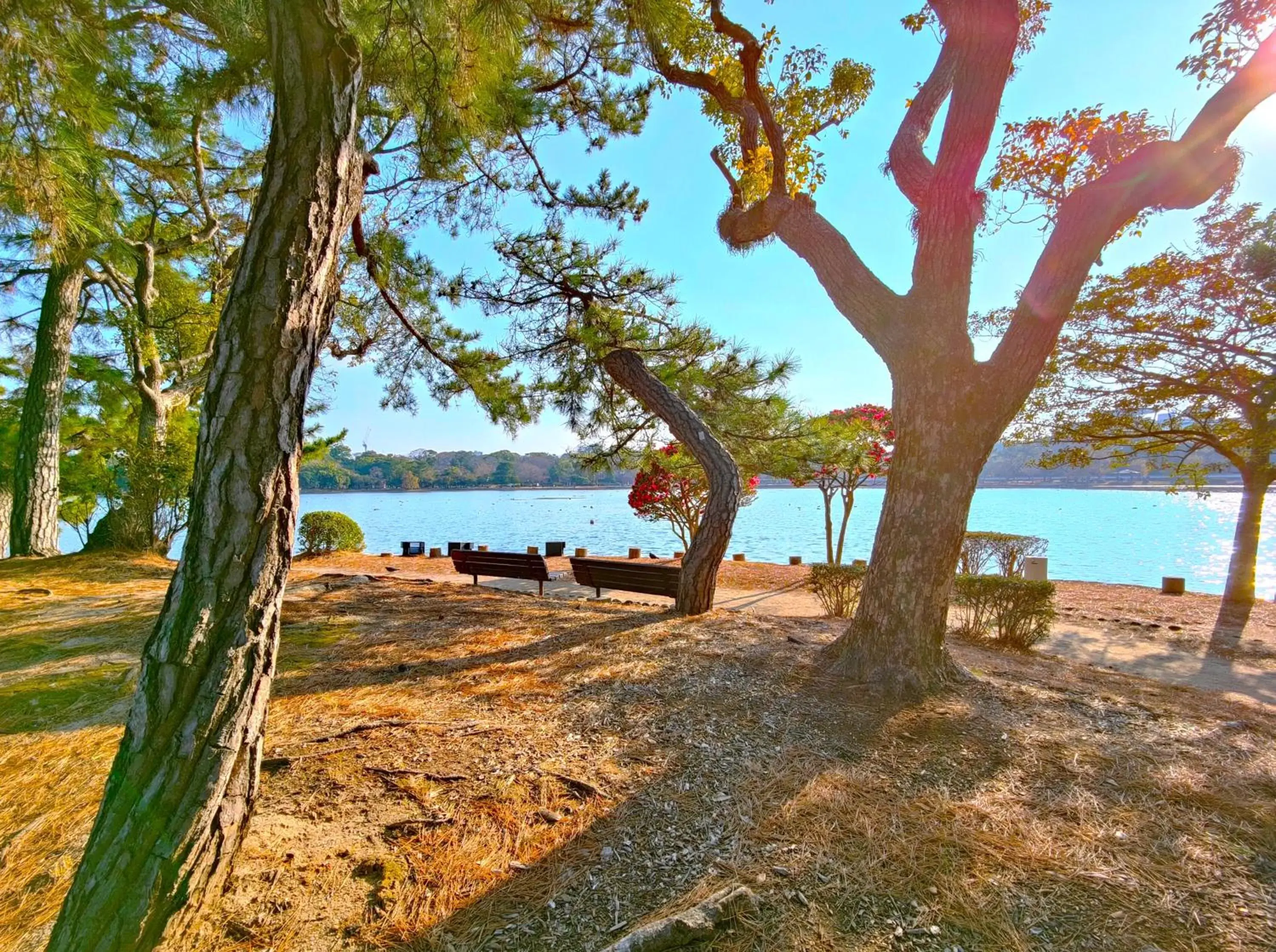 Natural landscape in Heiwadai Hotel Otemon