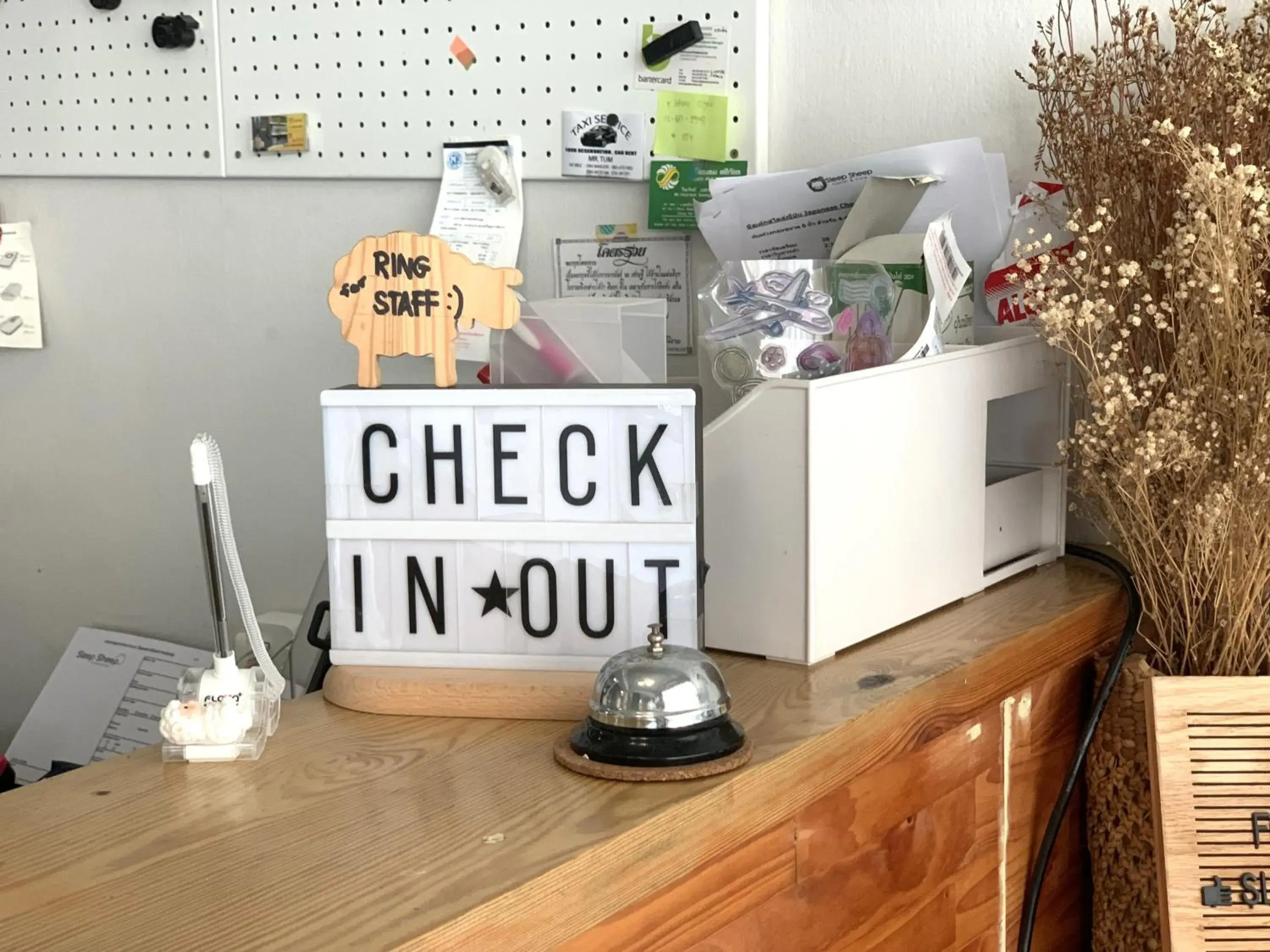 Lobby or reception in Sleep Sheep Phuket Hostel SHA Lobby or reception in Sleep Sheep Phuket Hostel SHA