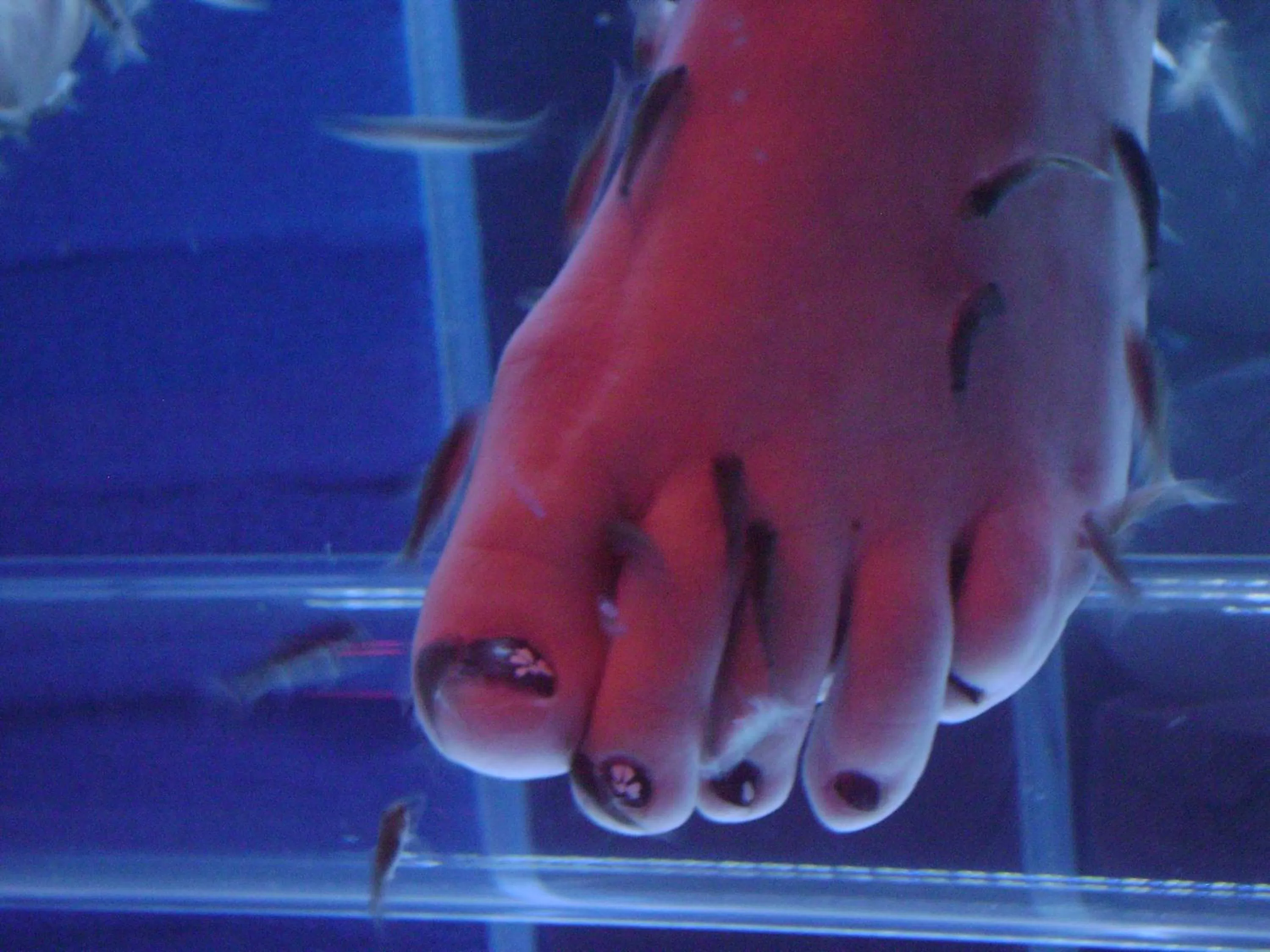 Spa and wellness centre/facilities in Hôtel Spa Du Béryl