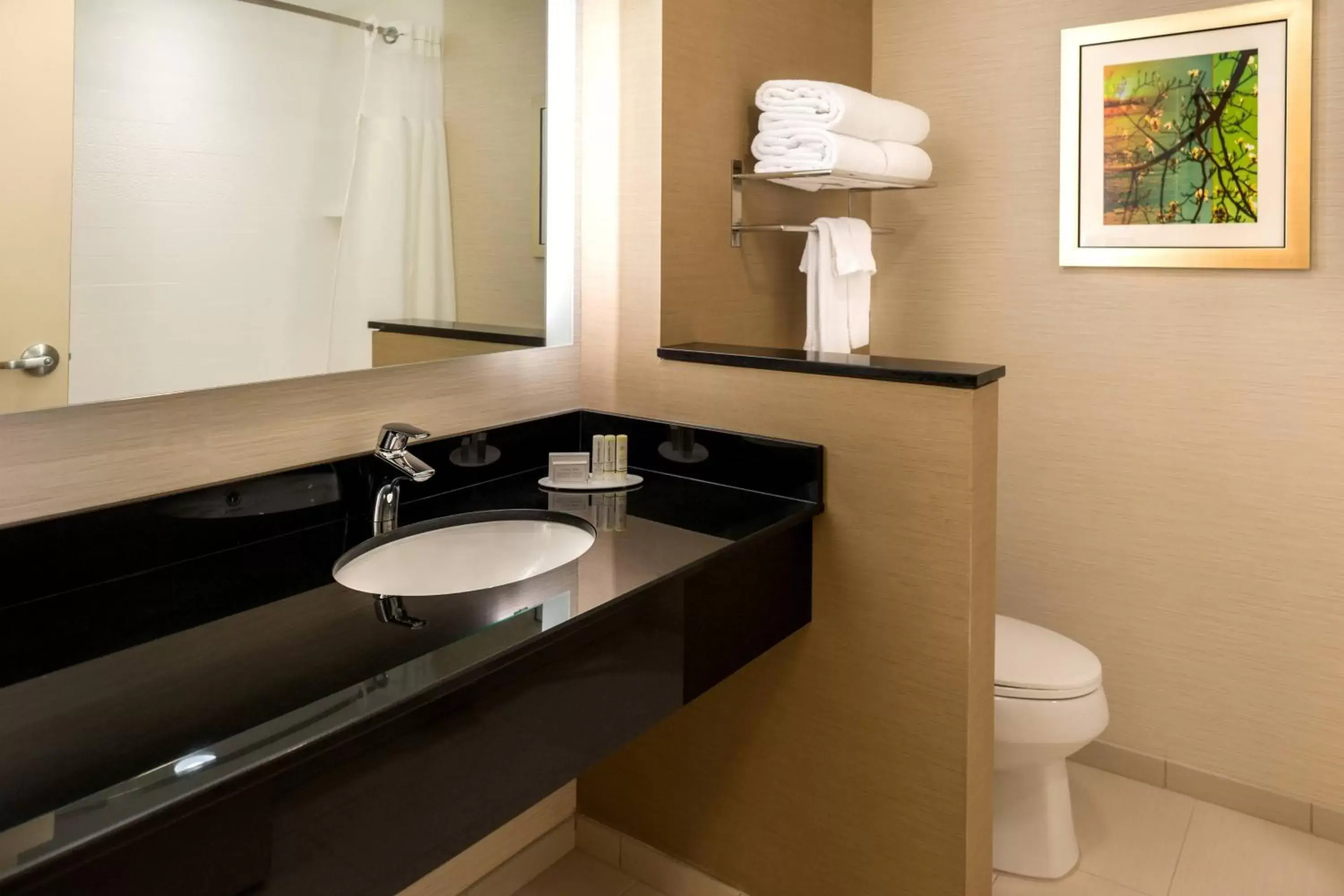 Bathroom in Fairfield Inn & Suites by Marriott Orlando East/UCF Area
