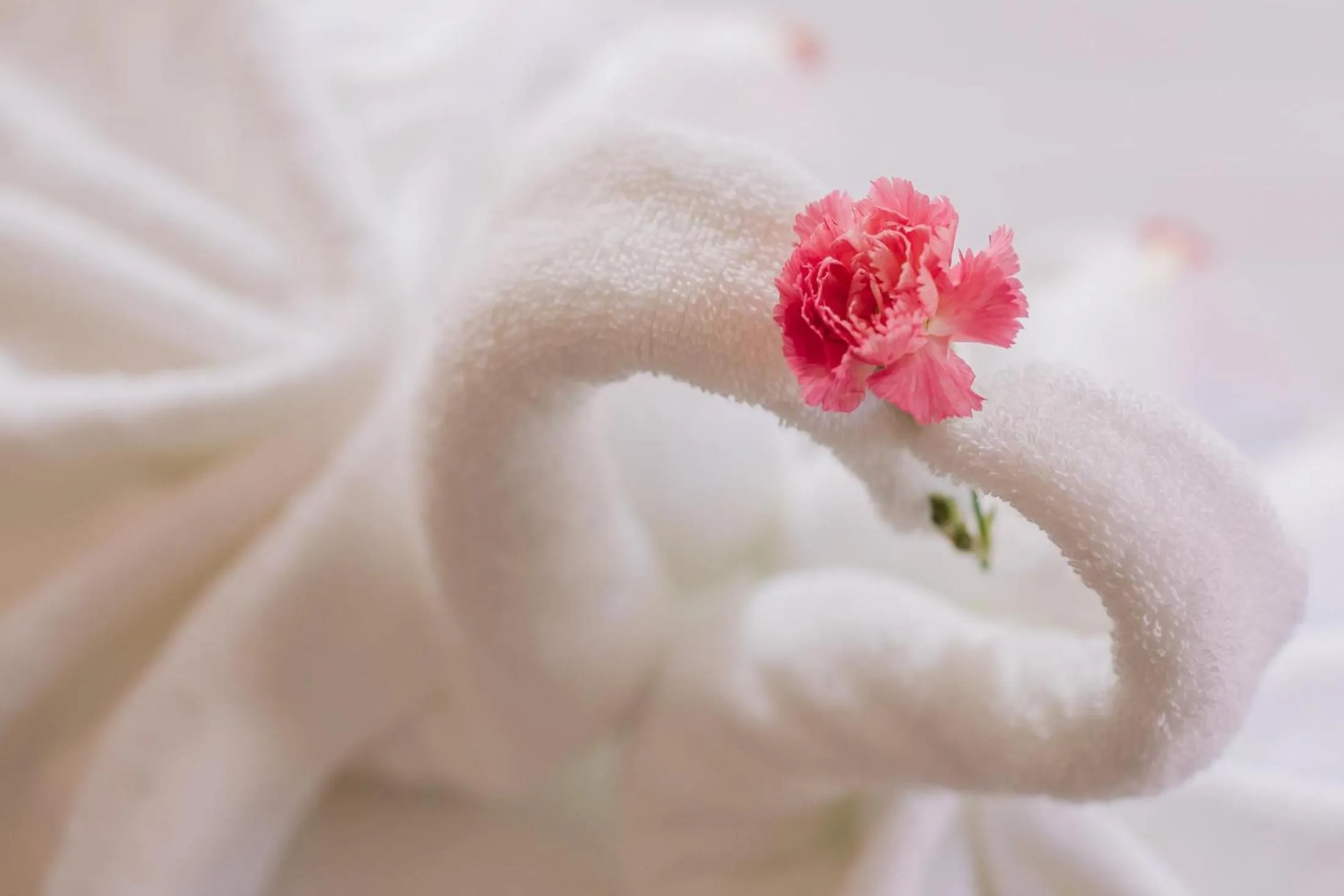 Decorative detail in Palm Hills Resort