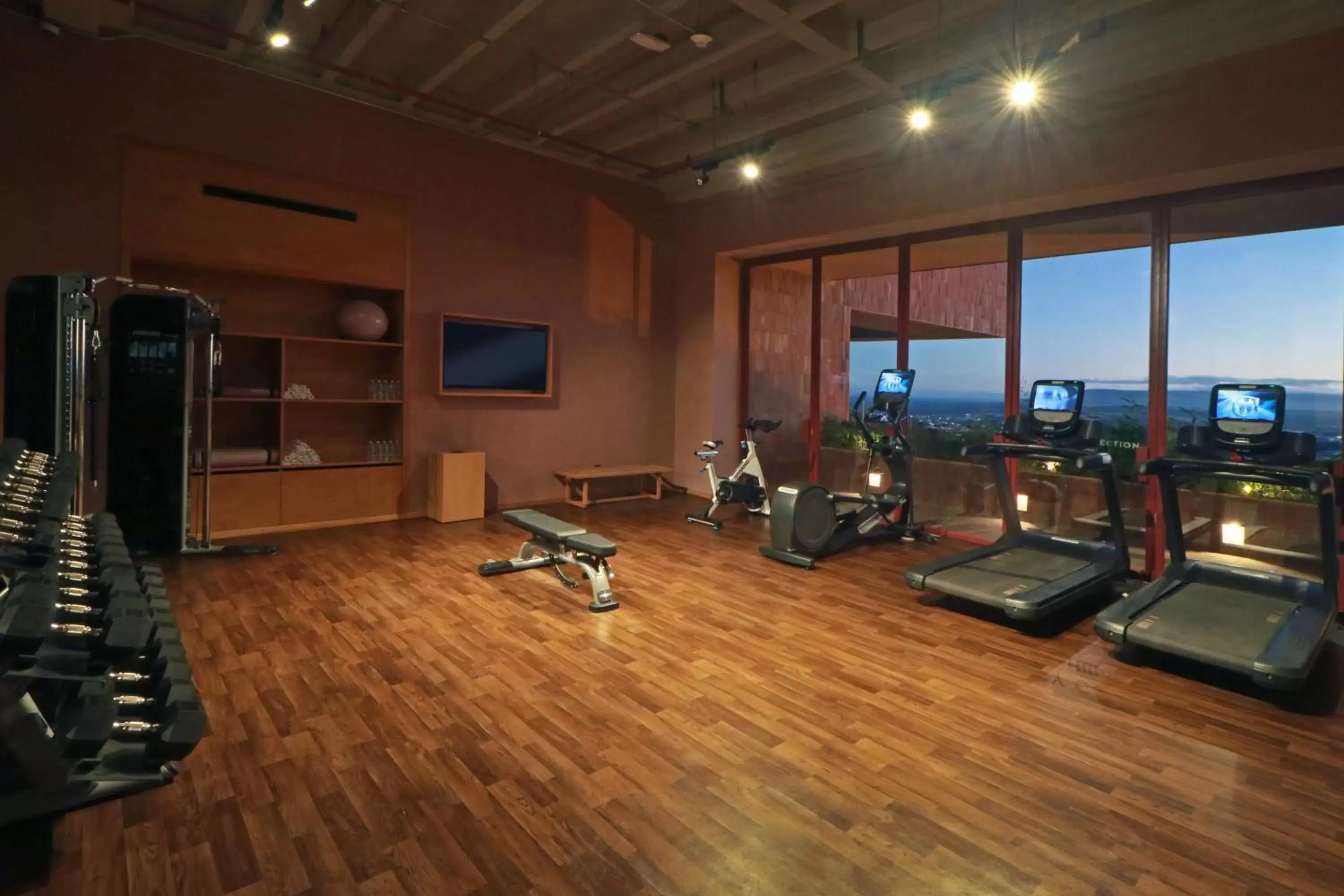 Fitness centre/facilities, Fitness Center/Facilities in Albor San Miguel de Allende, Tapestry Collection by Hilton