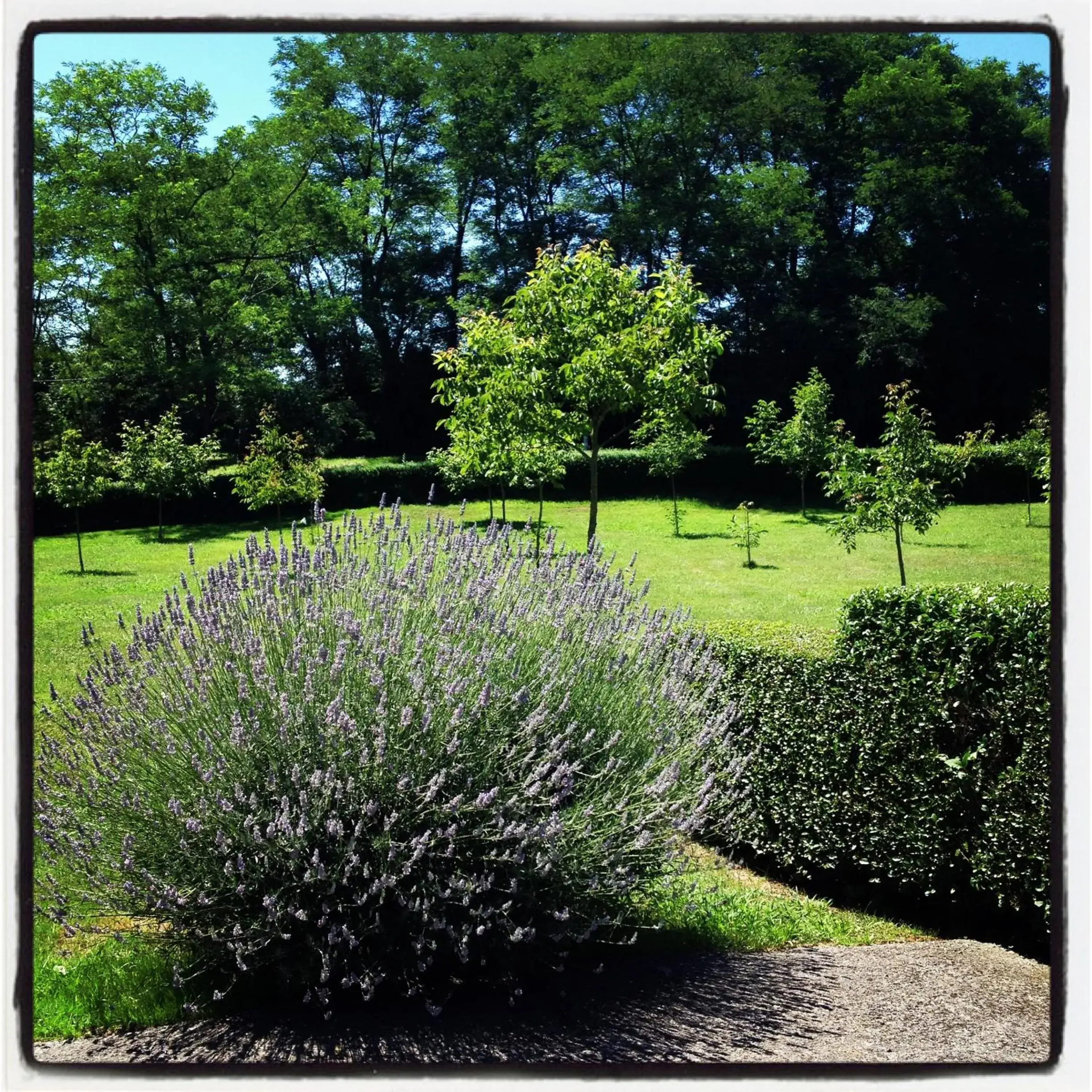 Spring, Garden in Hotel Artetxe