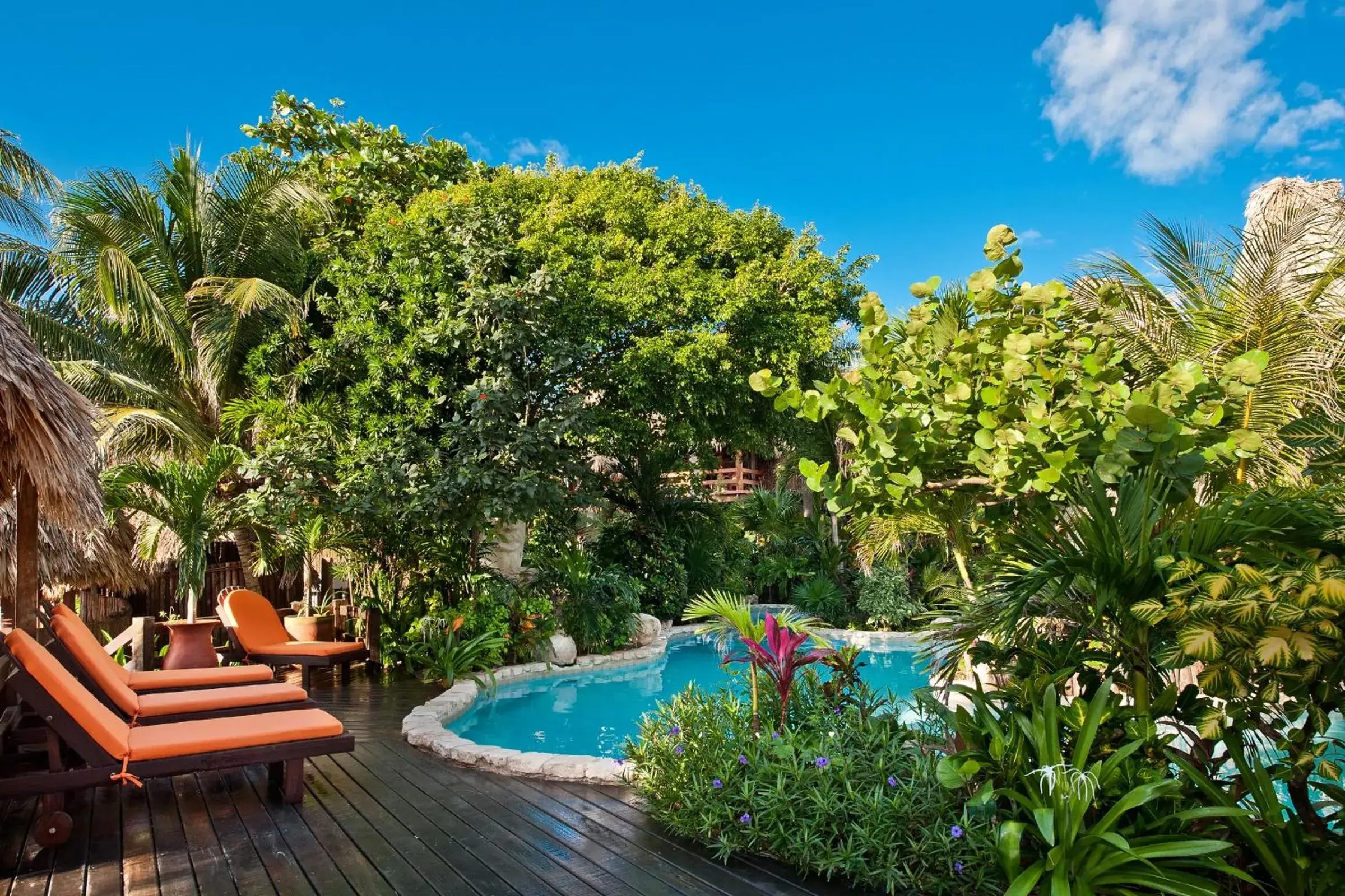 Swimming Pool in Ramon's Village Resort