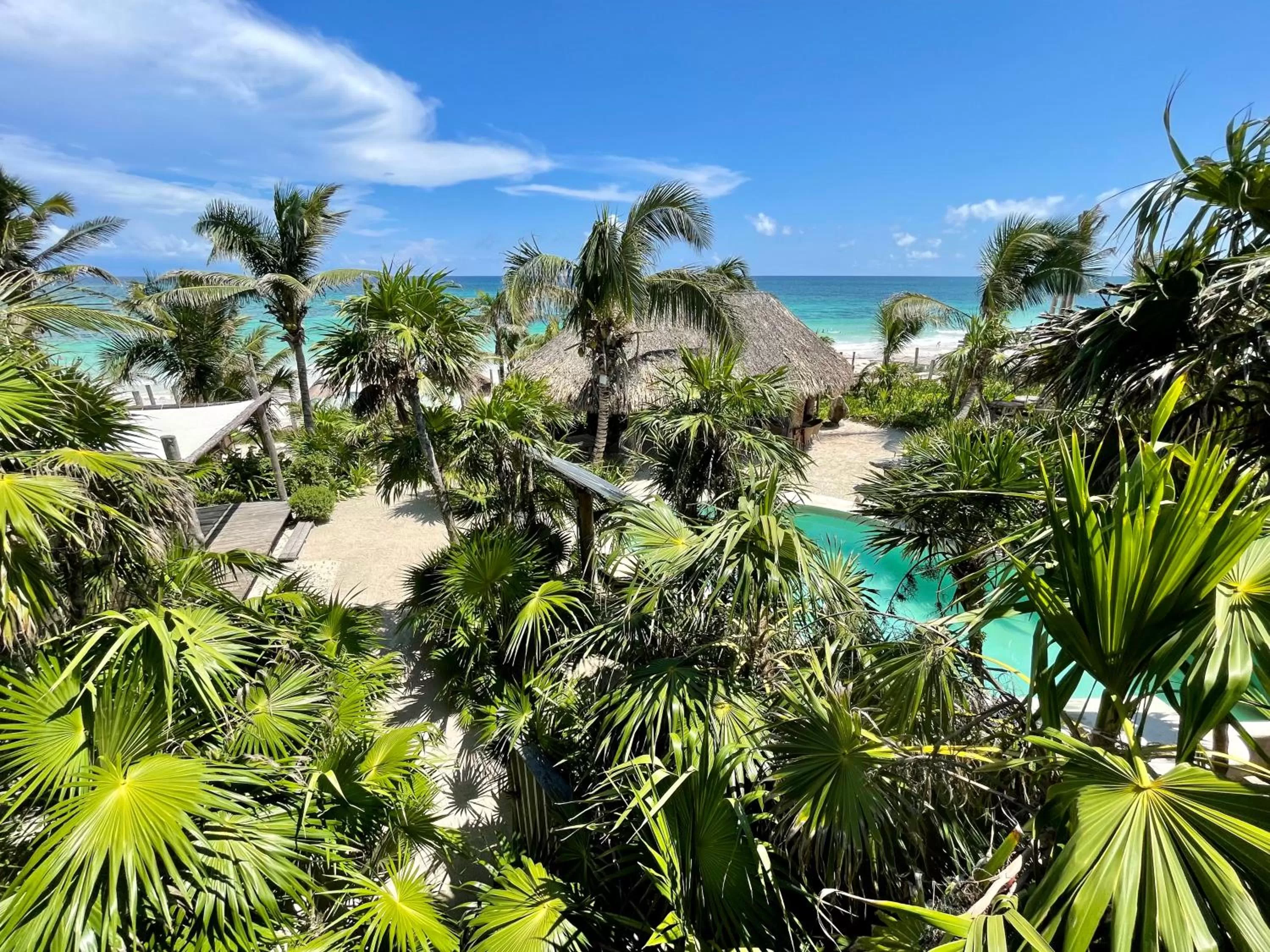View (from property/room), Pool View in Sueños Tulum