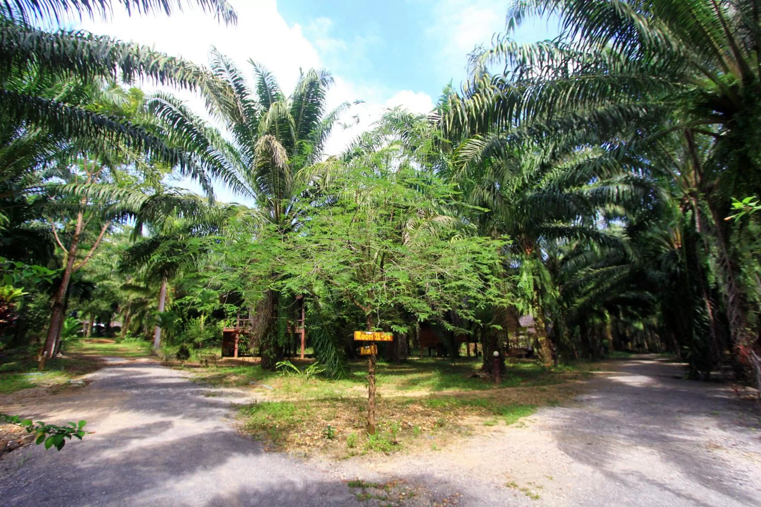 Khao Sok Palmview Resort