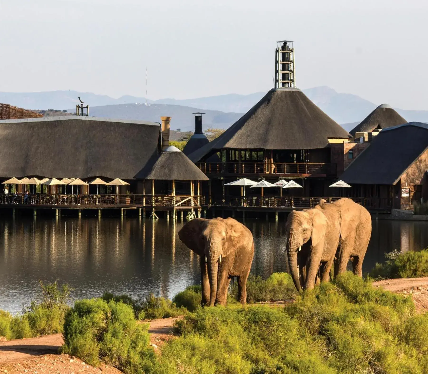 Property building in Buffelsdrift Game Lodge