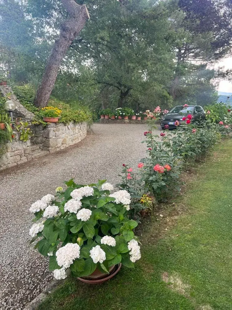 Garden in Villaspino