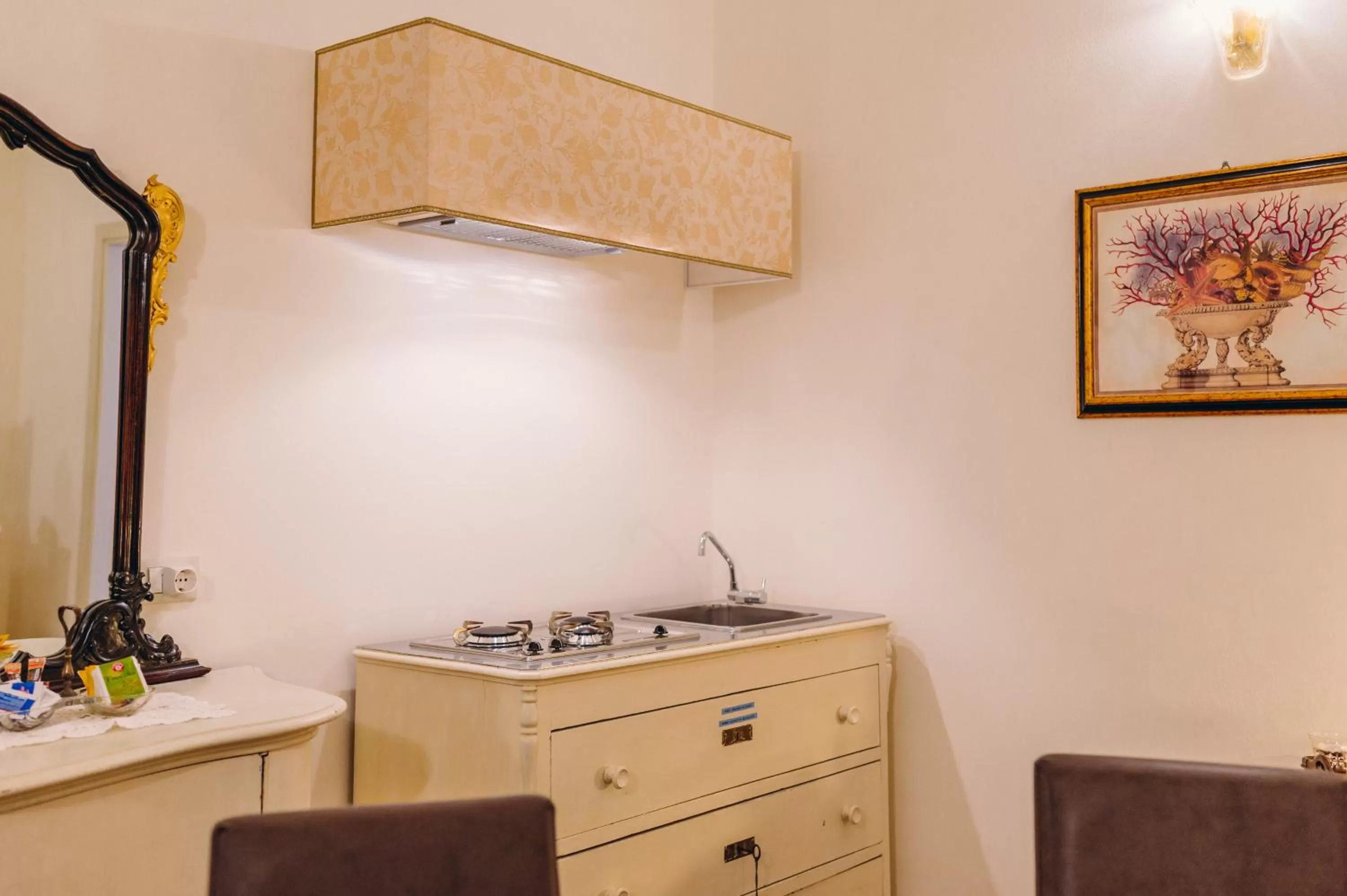 Kitchen or kitchenette in Exclusive Aparthotel La Reunion