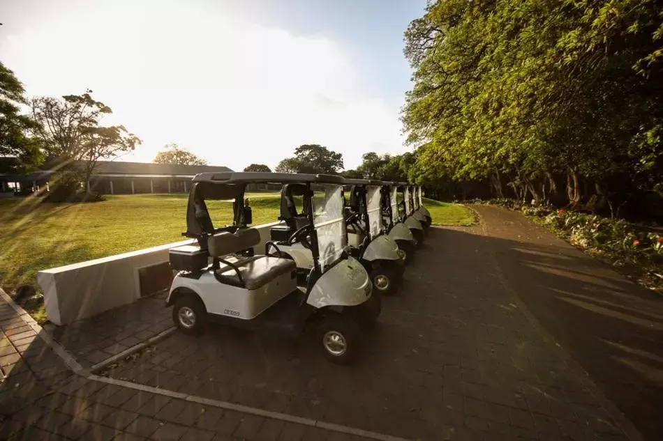 Golfcourse in Hotel Olivewood