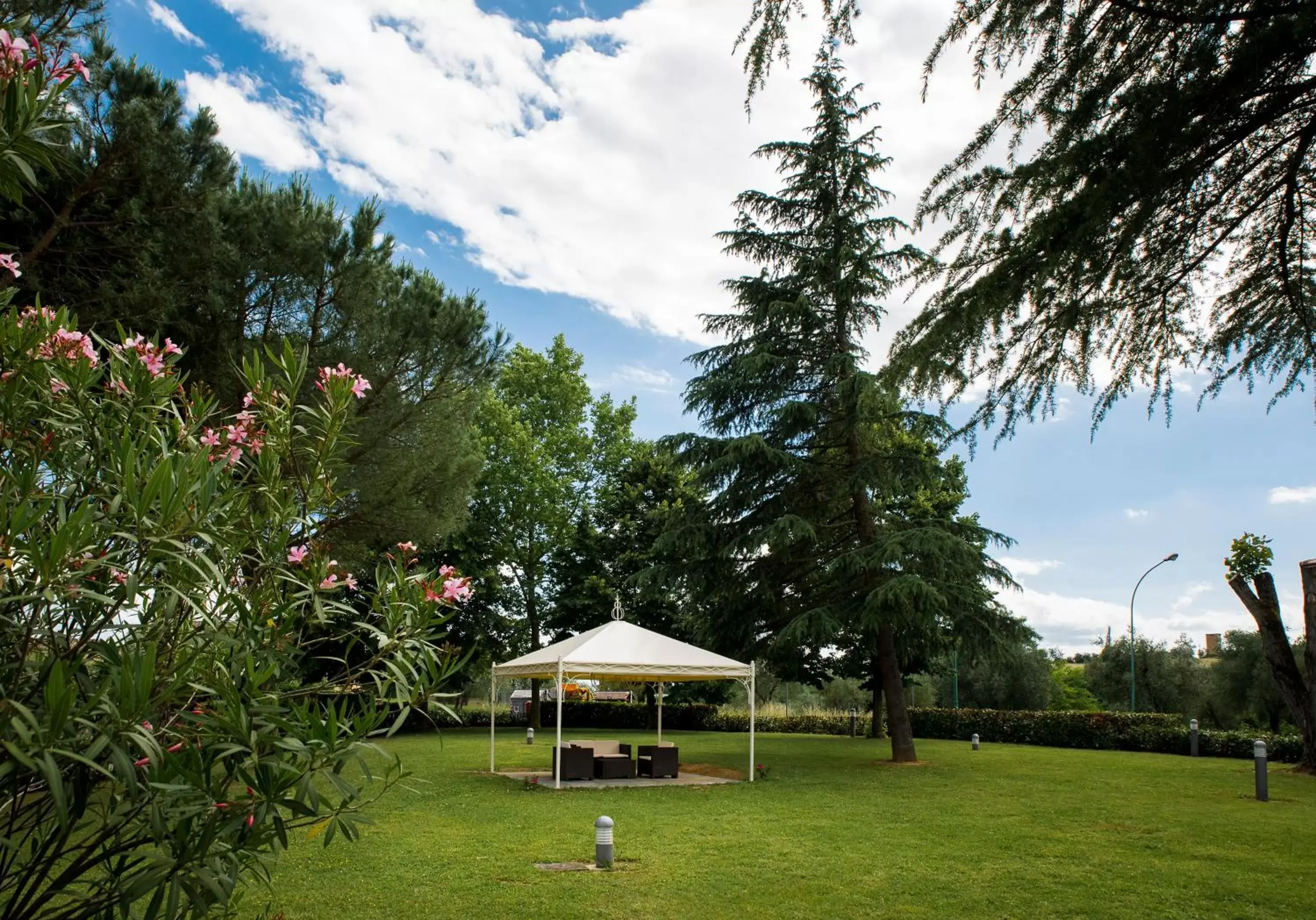 Garden in Hotel Executive