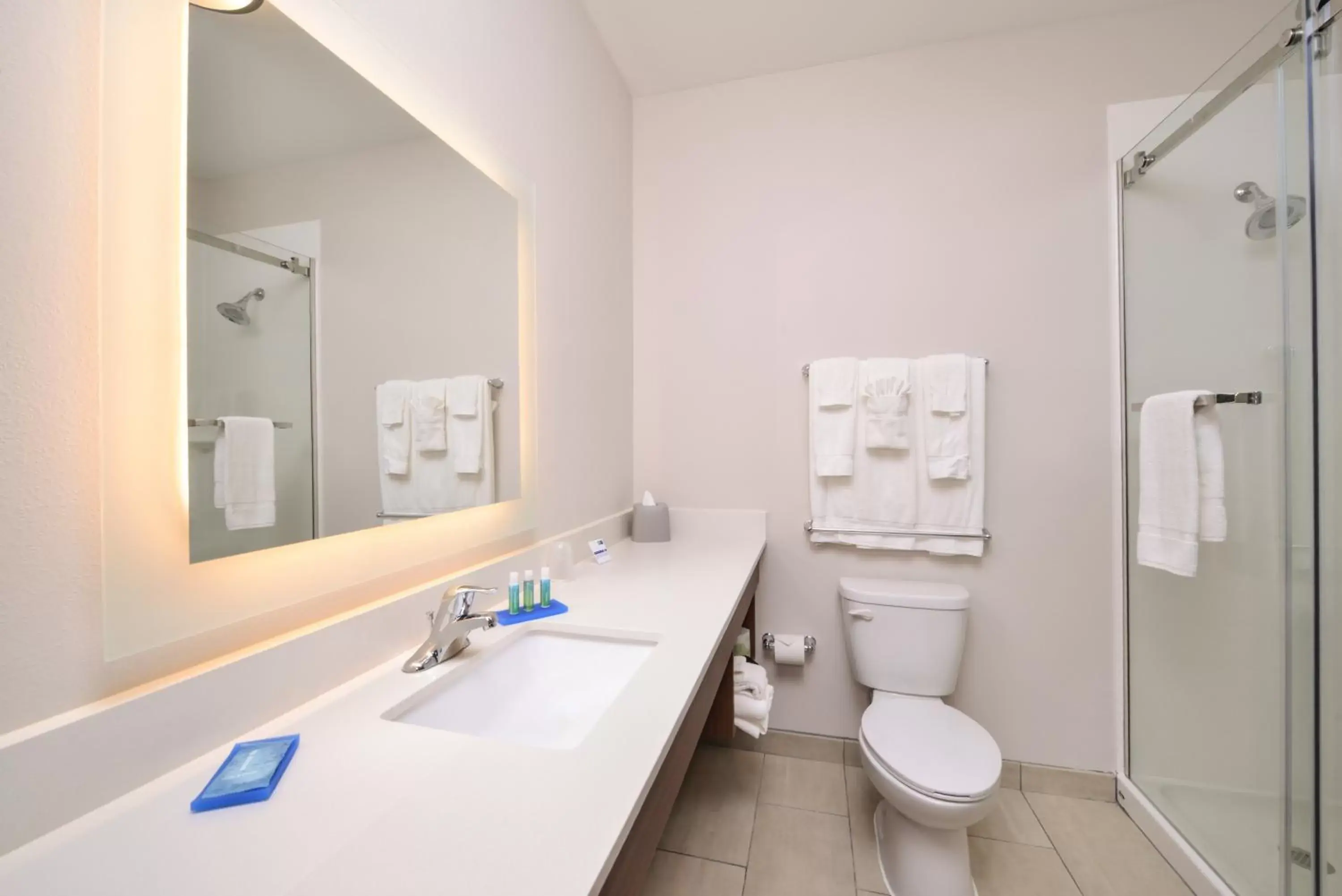Bathroom in Holiday Inn Express Donaldsonville by IHG Bathroom in Holiday Inn Express Donaldsonville by IHG