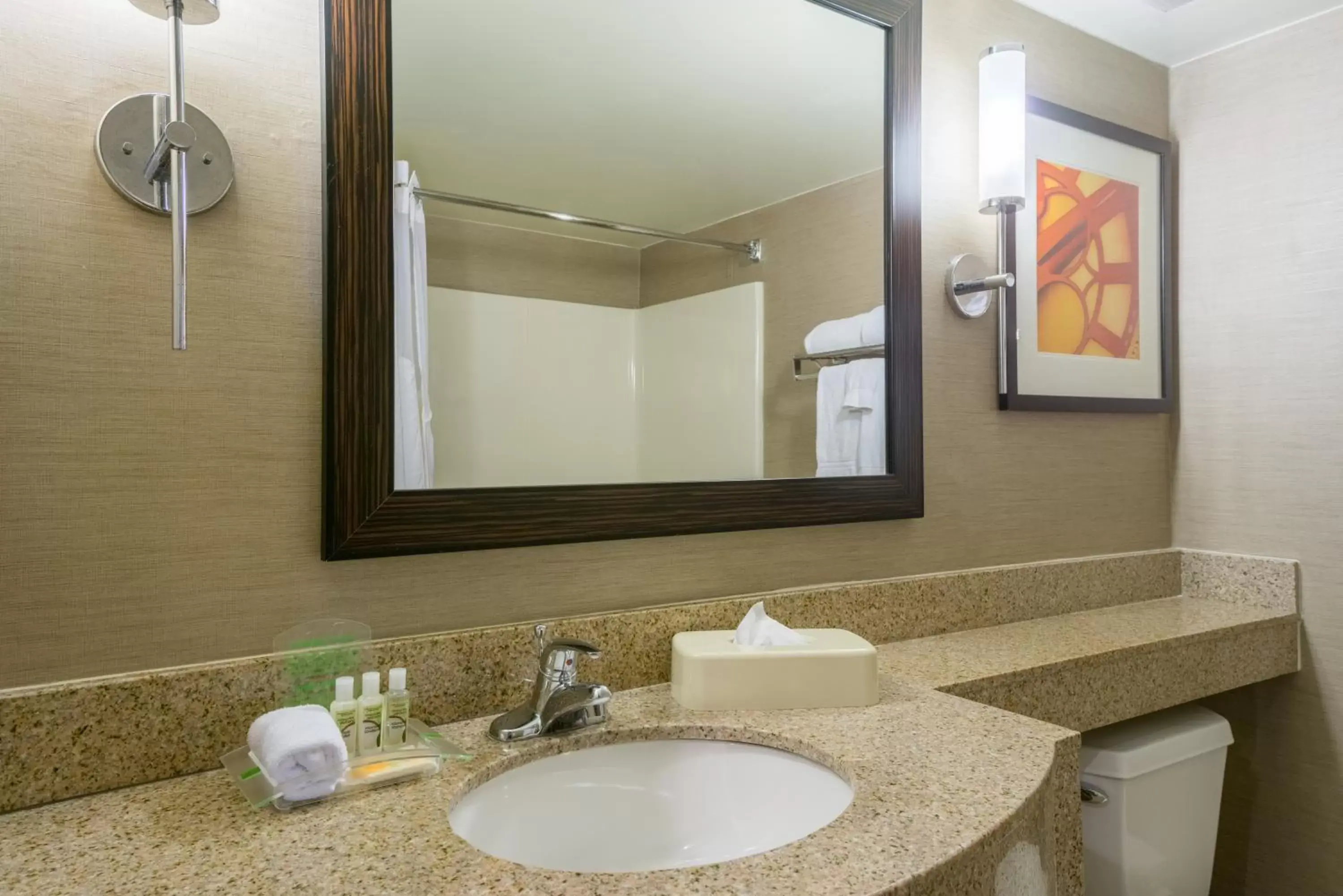Bathroom in Holiday Inn Harrisburg I-81 Hershey Area, an IHG Hotel