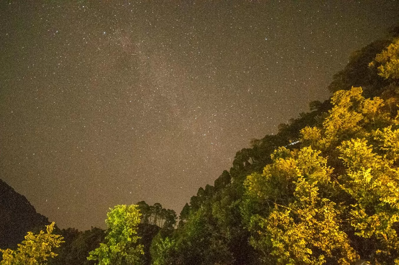 Natural landscape in DreamCatcher Boutique Hotels