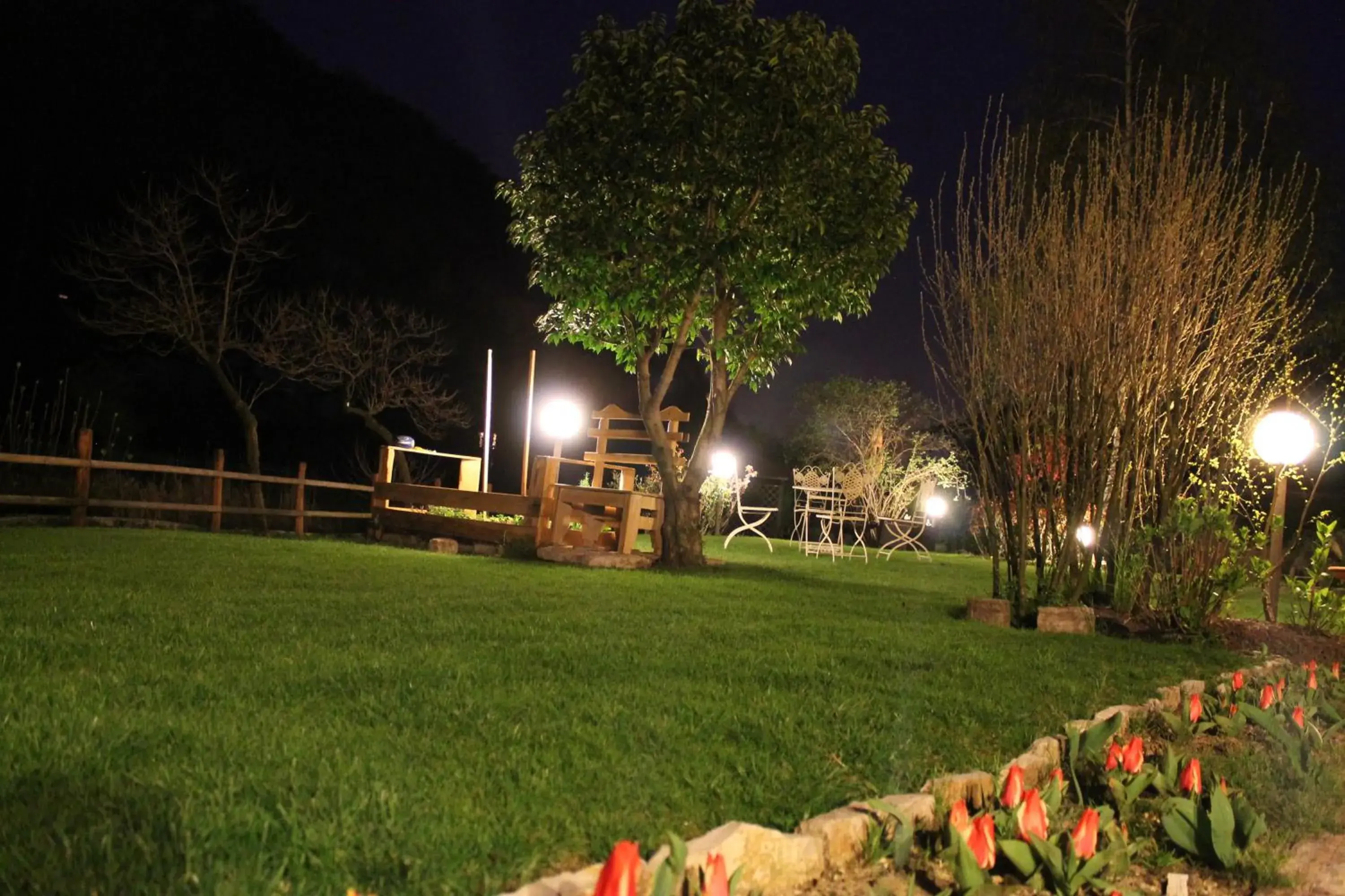 Garden in Hotel Calvi