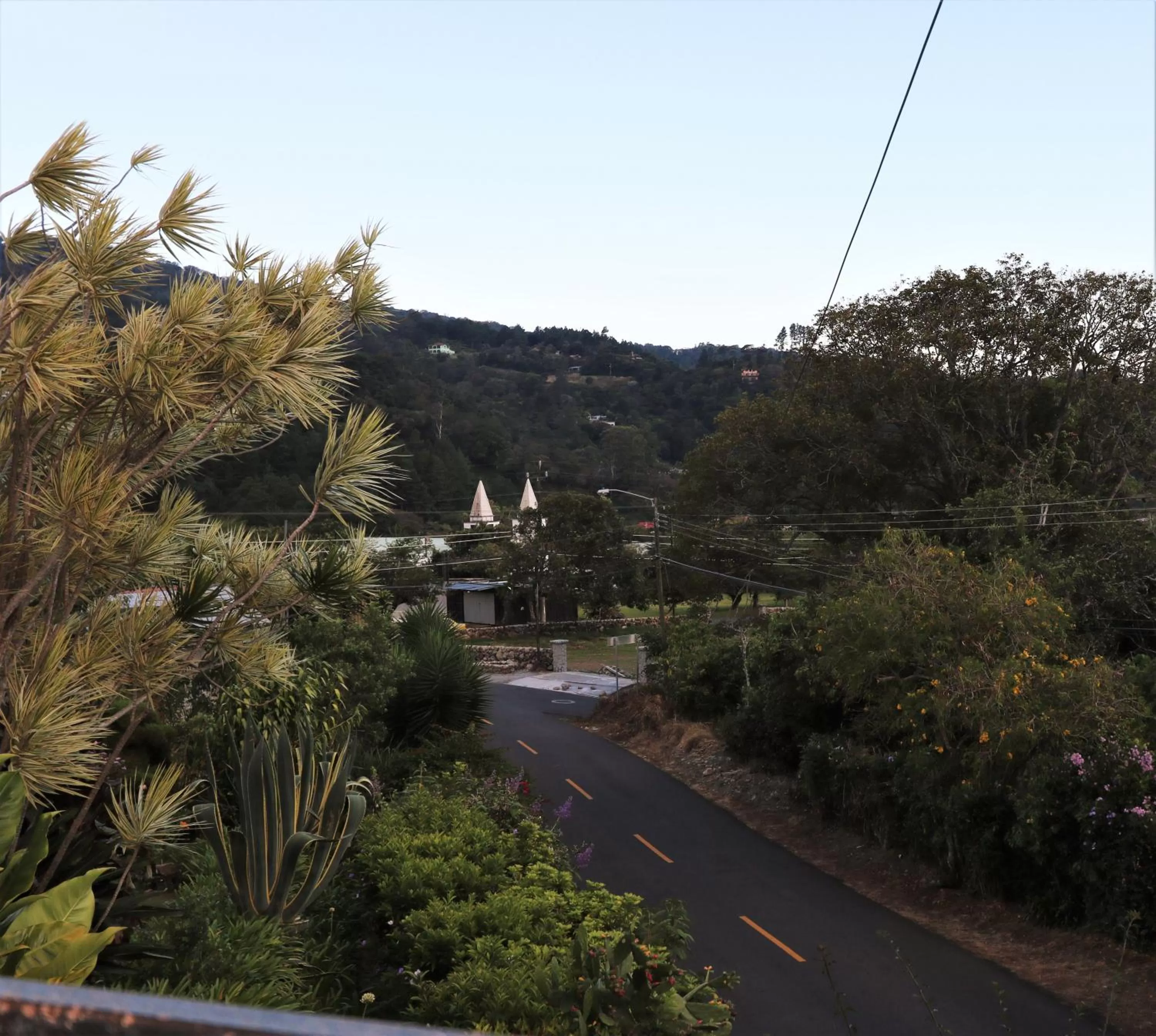 View (from property/room) in Aparthotel Los Pinos