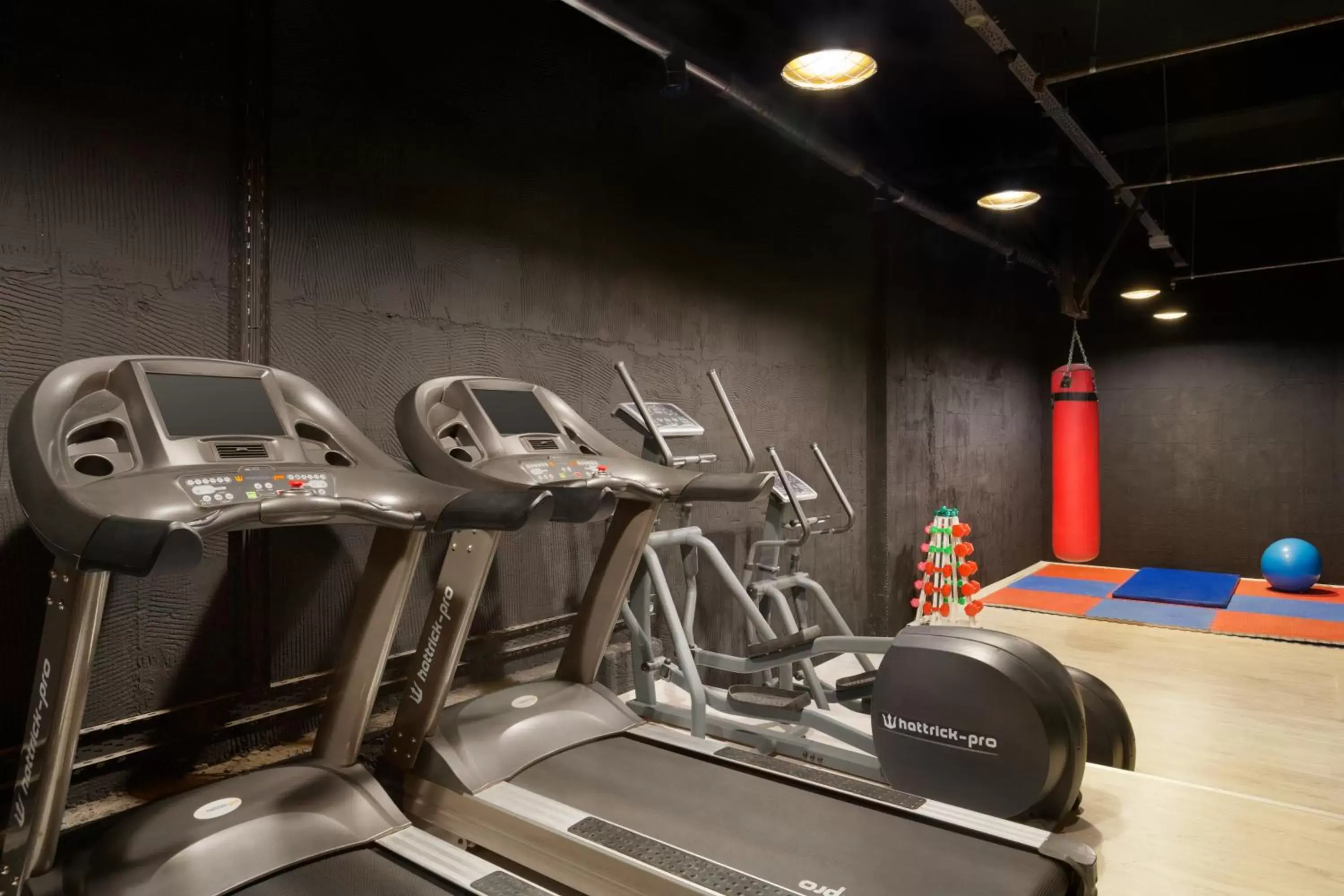 Fitness centre/facilities, Fitness Center/Facilities in Ramada By Wyndham Soma